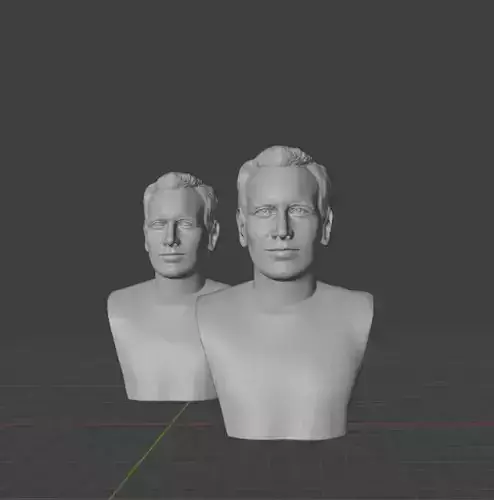 Patrick Wilson 3D print model