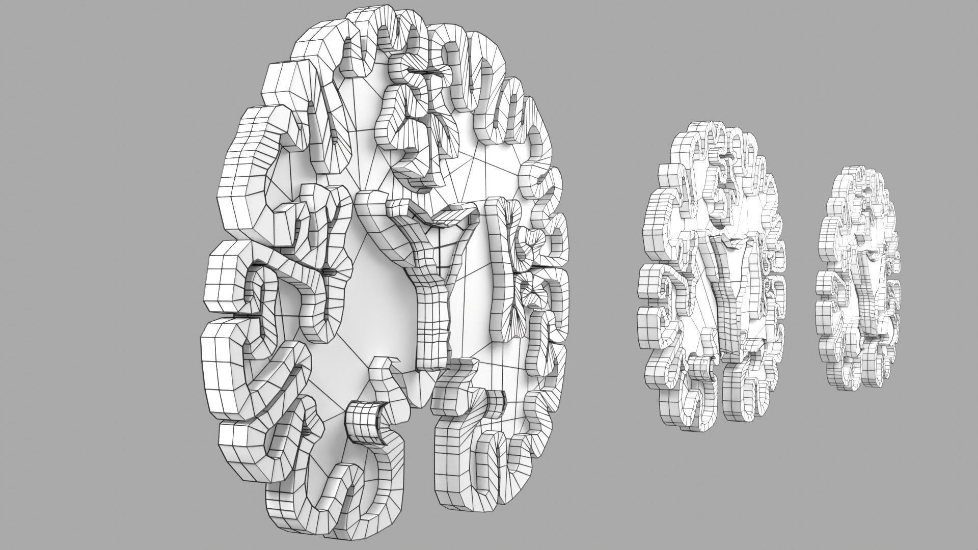 Alzheimer Disease Brain coronal slice 3D model_55