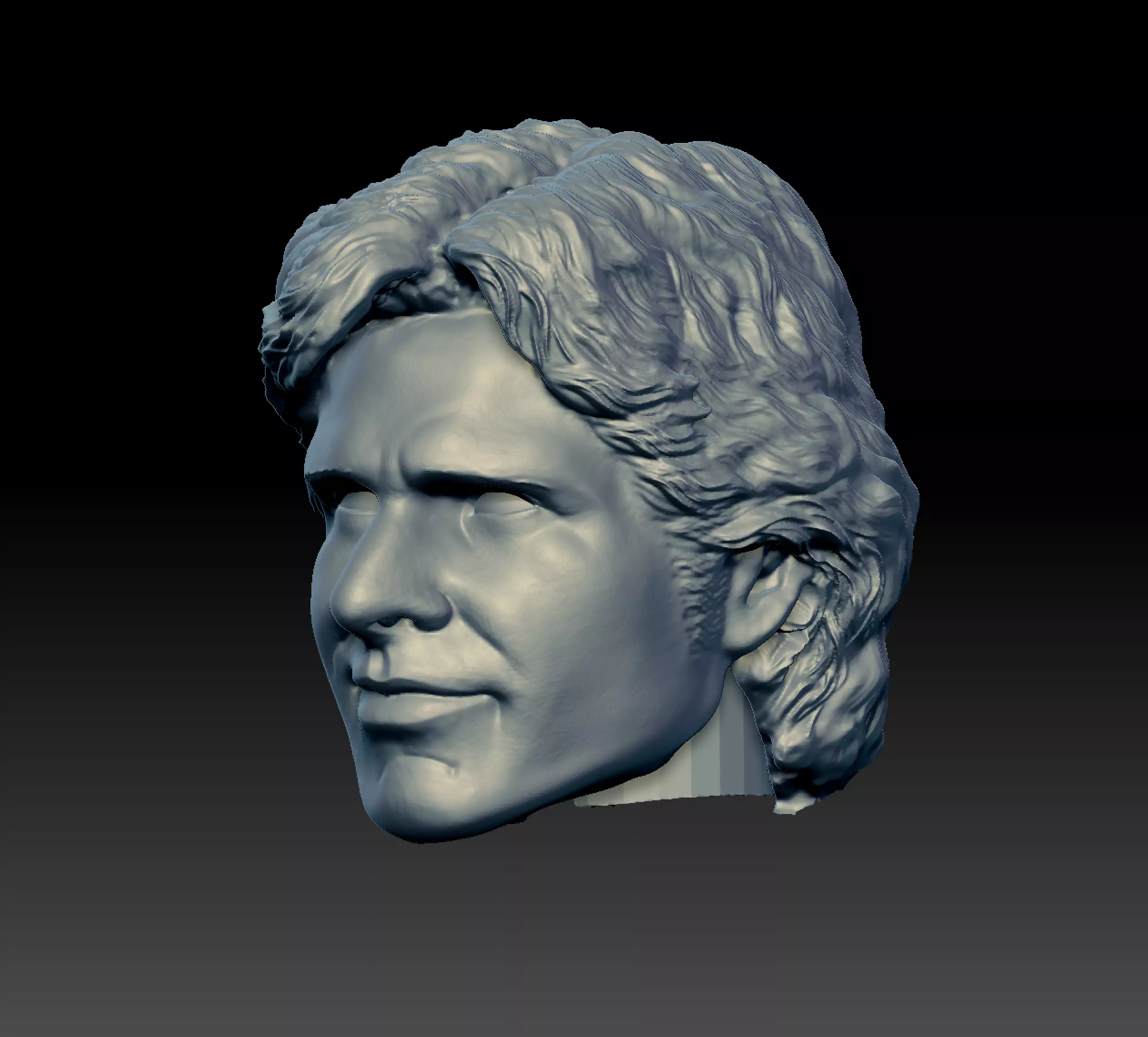 Harrison Solo 3D print model