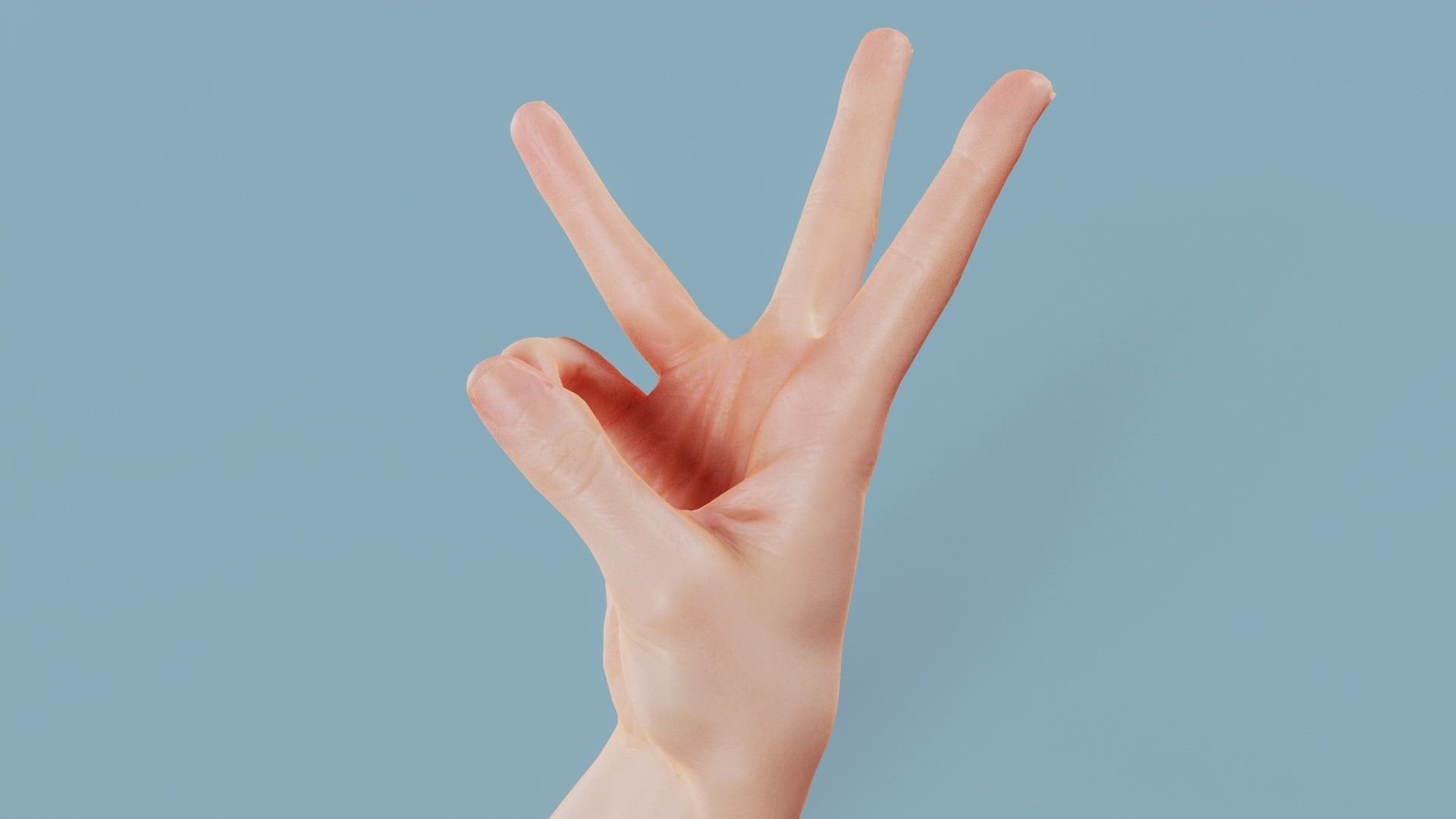 Three Please Single Hand 007 Low-poly 3D model_10