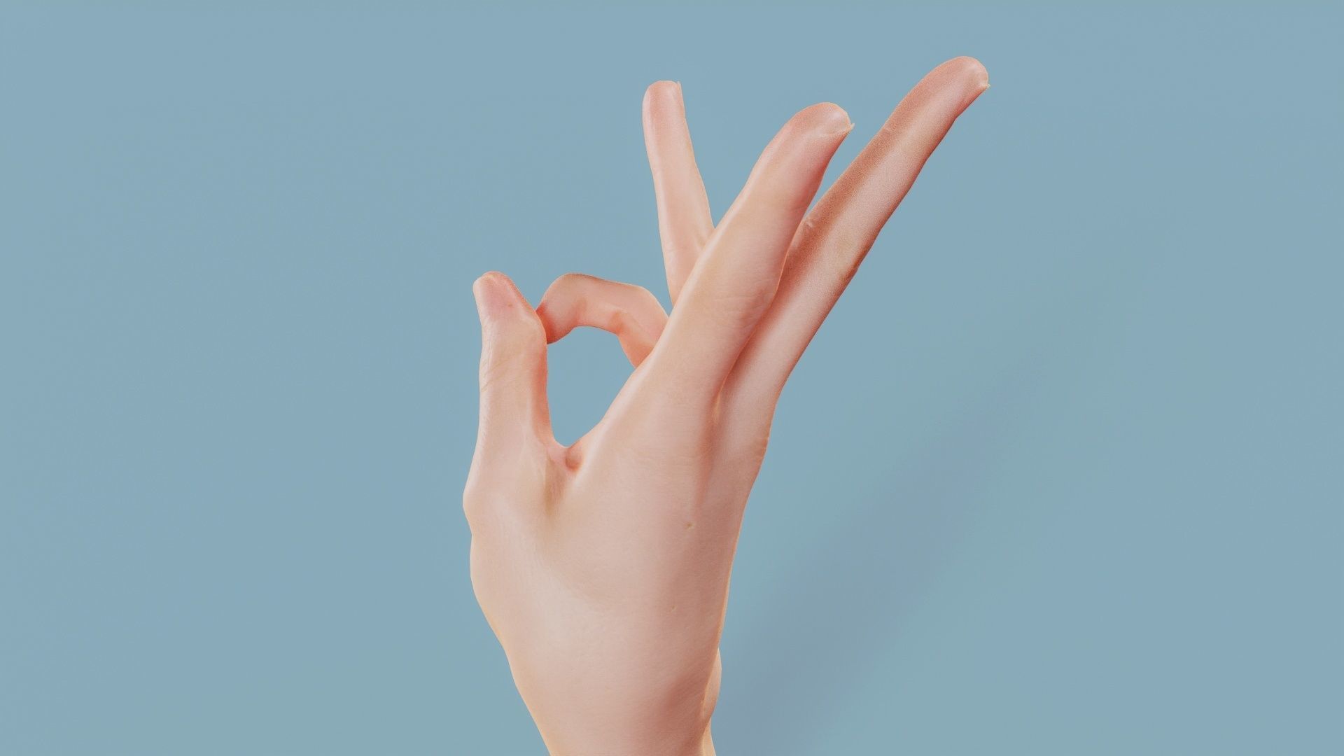 Three Please Single Hand 007 Low-poly 3D model_8