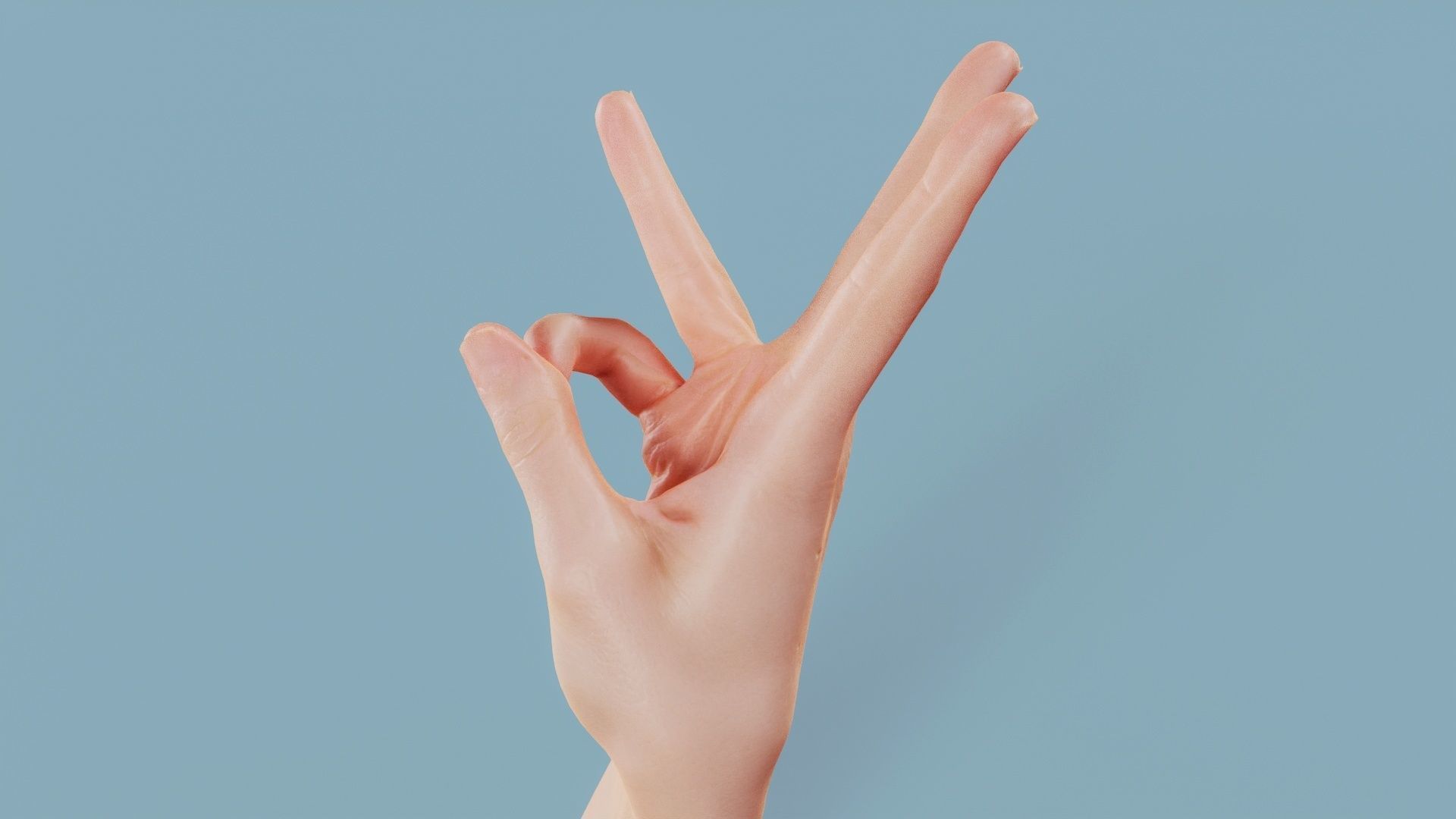 Three Please Single Hand 007 Low-poly 3D model_9