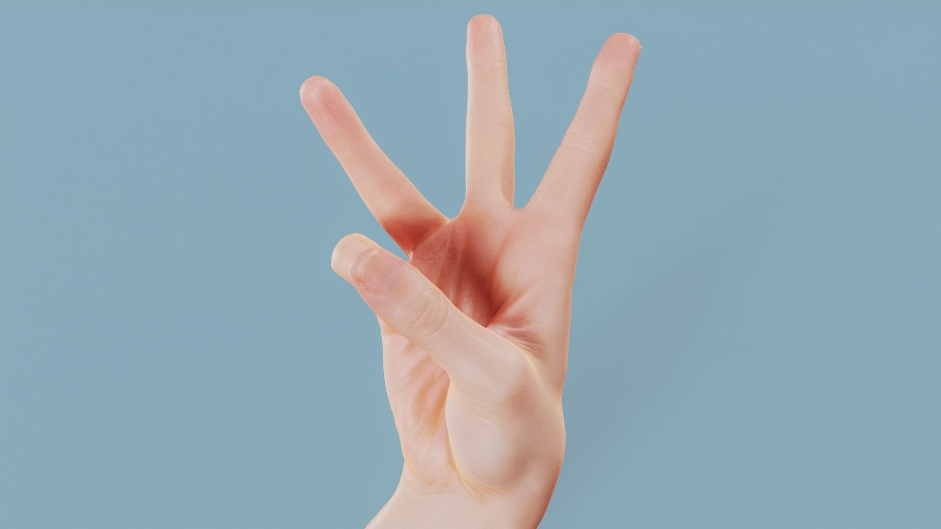 Three Please Single Hand 007 Low-poly 3D model_11