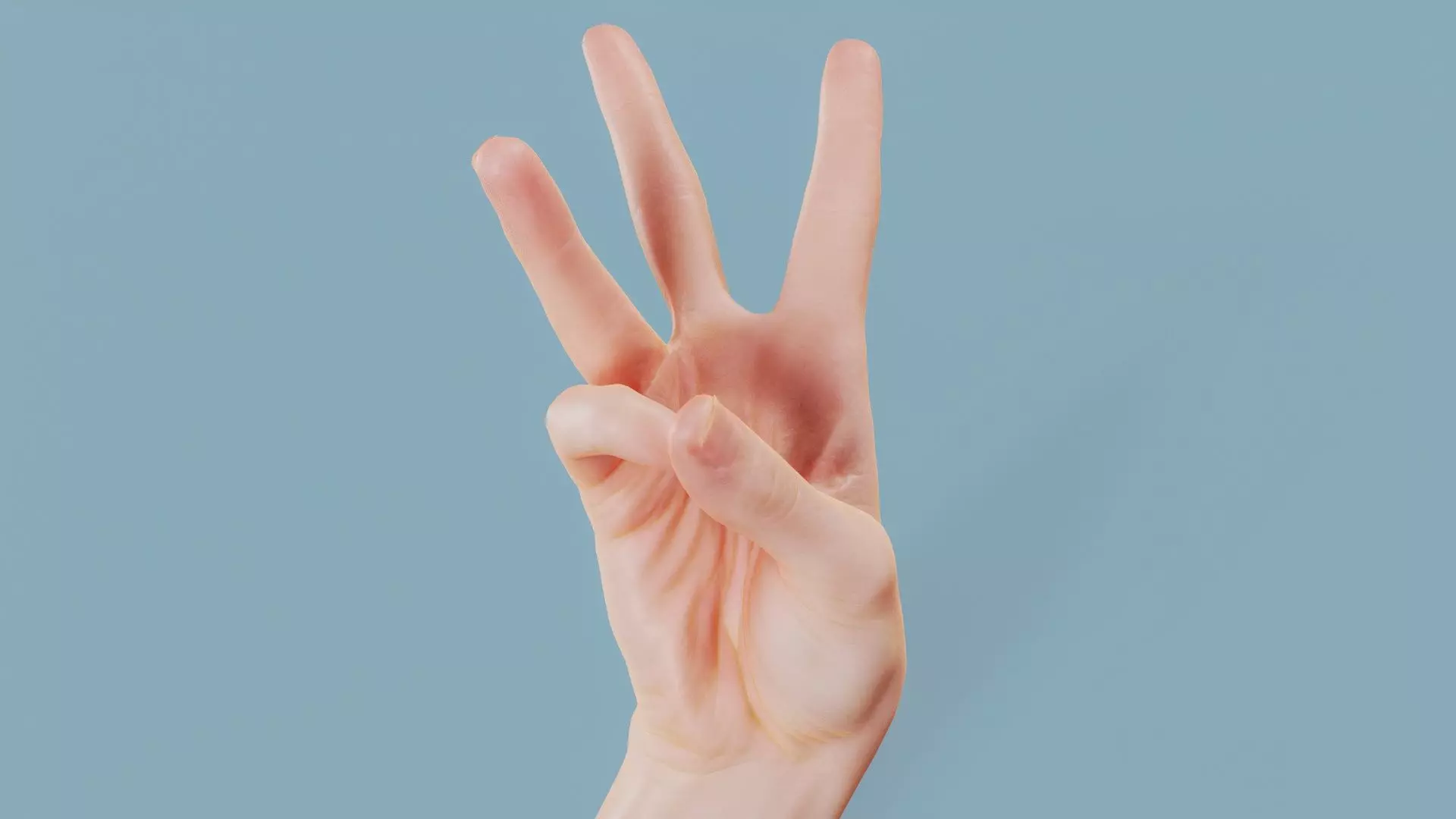 Three Please Single Hand 007 Low-poly 3D model_0