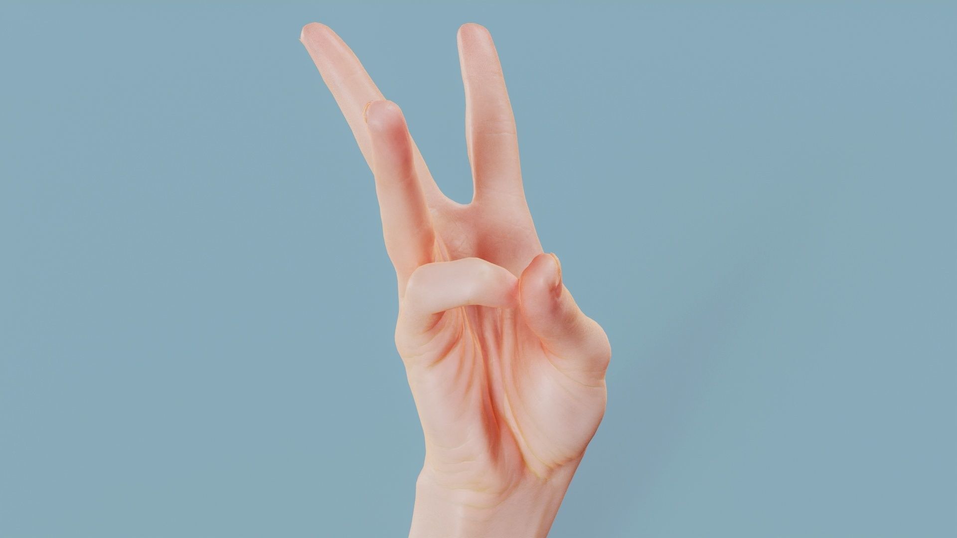 Three Please Single Hand 007 Low-poly 3D model_1