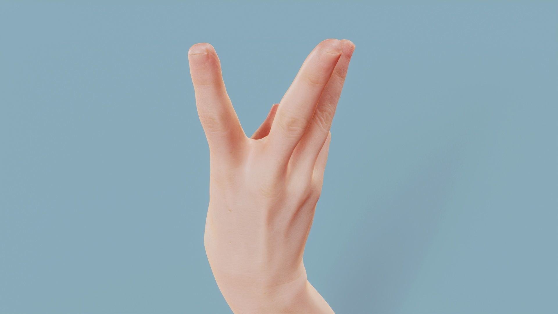 Three Please Single Hand 007 Low-poly 3D model_6