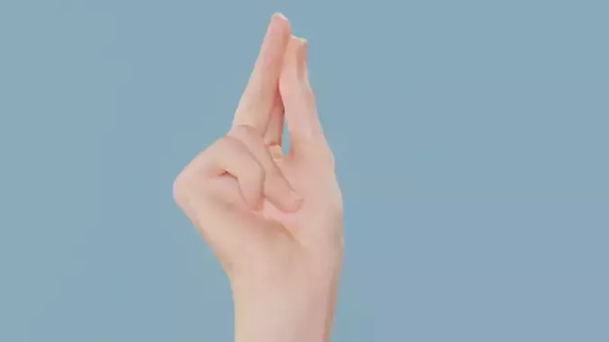 This Much Single Hand 018 Low-poly 3D model
