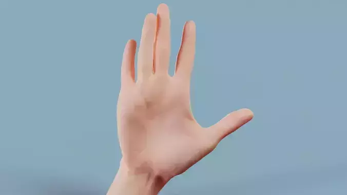 The Upper Pinky Single Hand 020 Low-poly 3D model