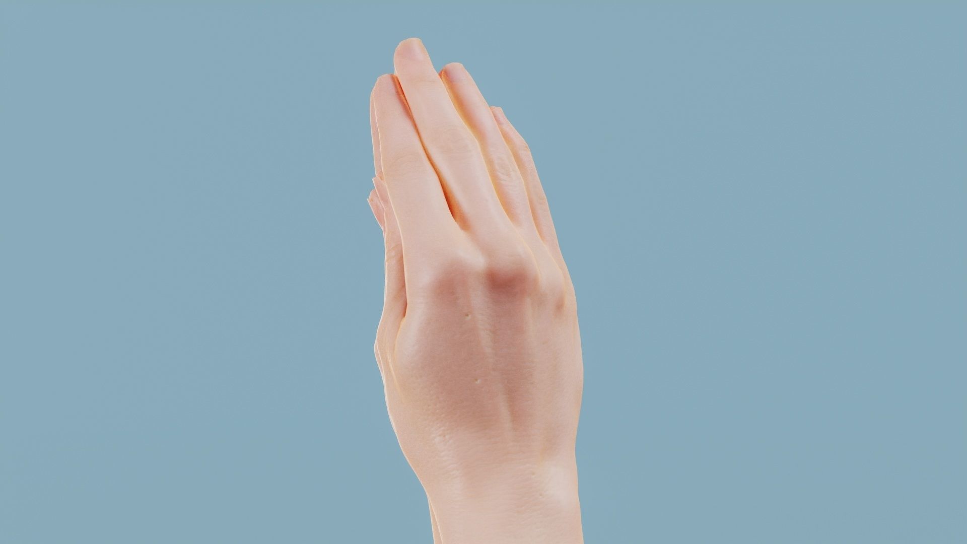 The Prayer Duo Hands 005 Low-poly 3D model_9