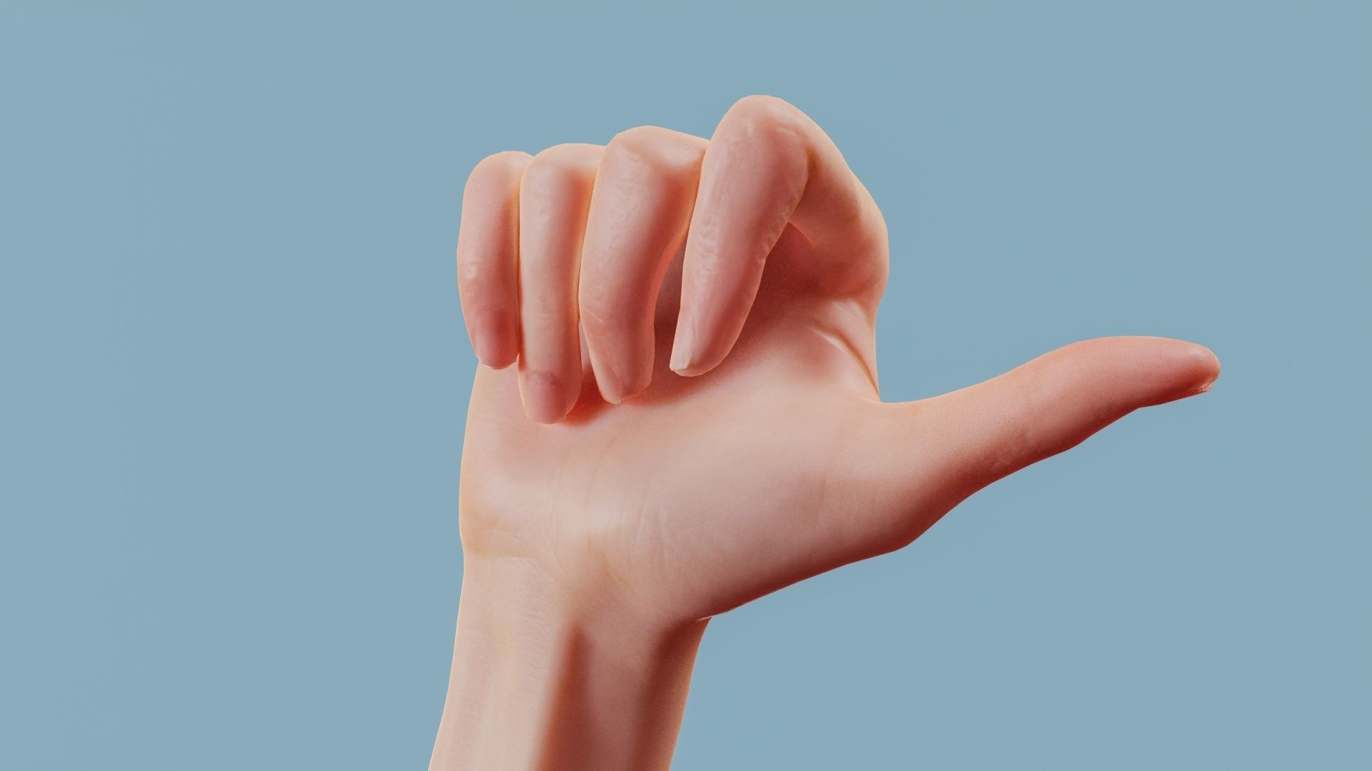 The Hitch Hiker Single Hand 013 Low-poly 3D model_11