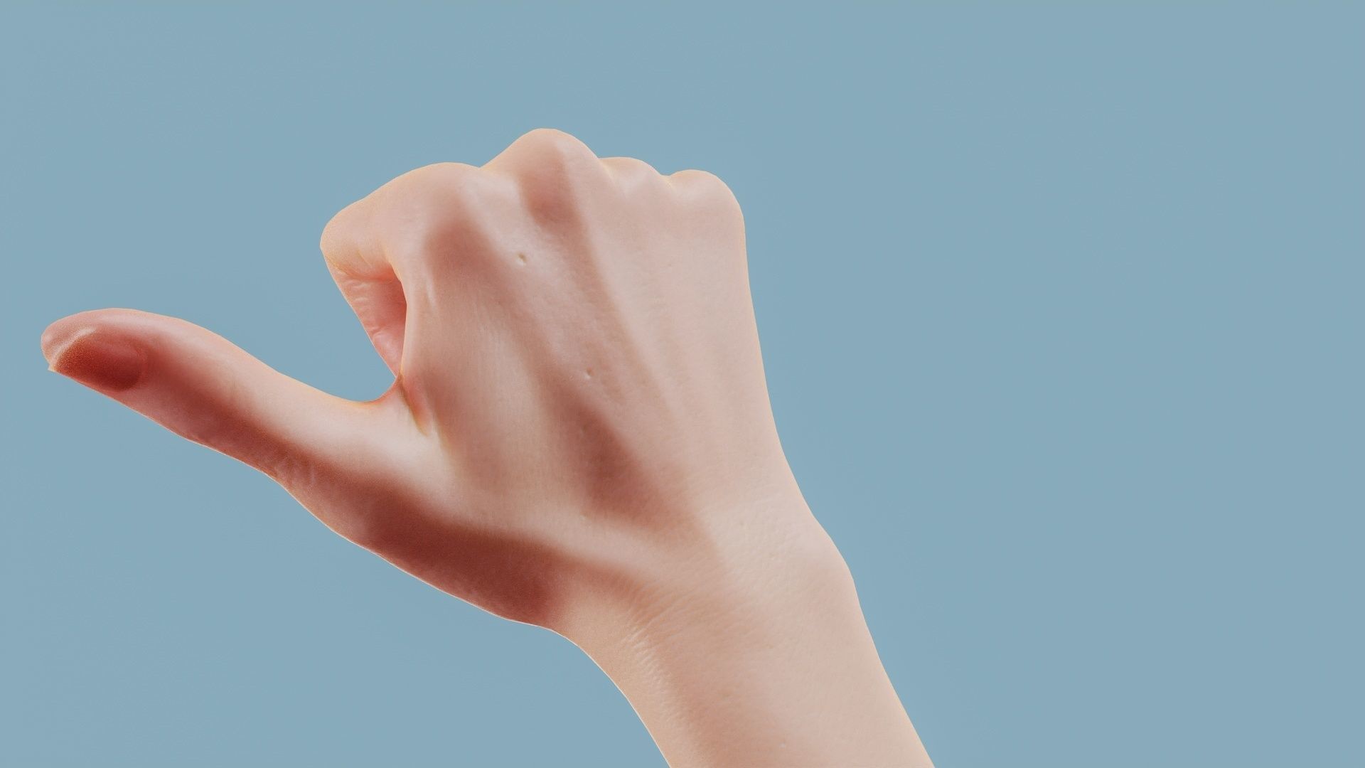 The Hitch Hiker Single Hand 013 Low-poly 3D model_7