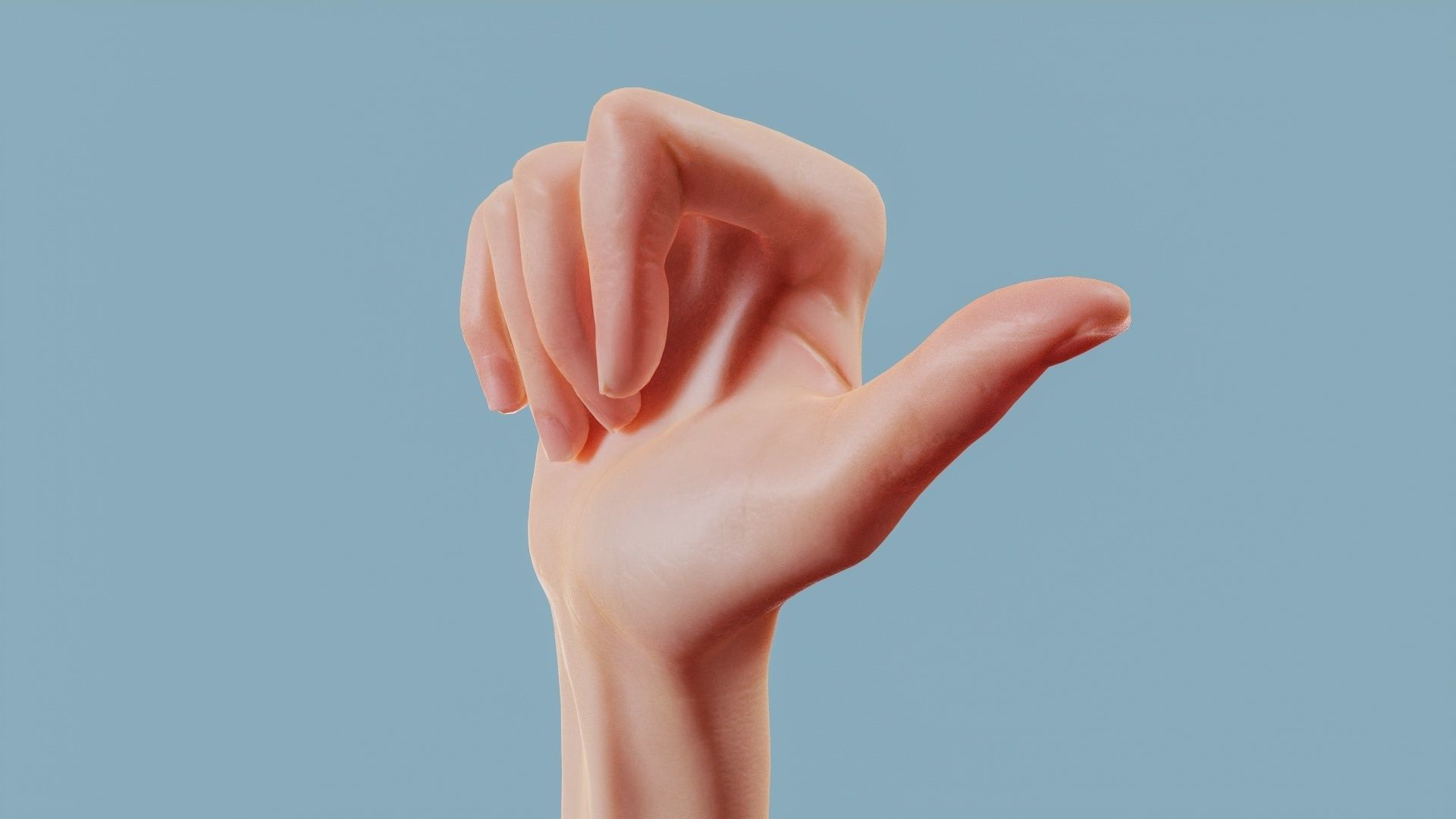 The Hitch Hiker Single Hand 013 Low-poly 3D model_10