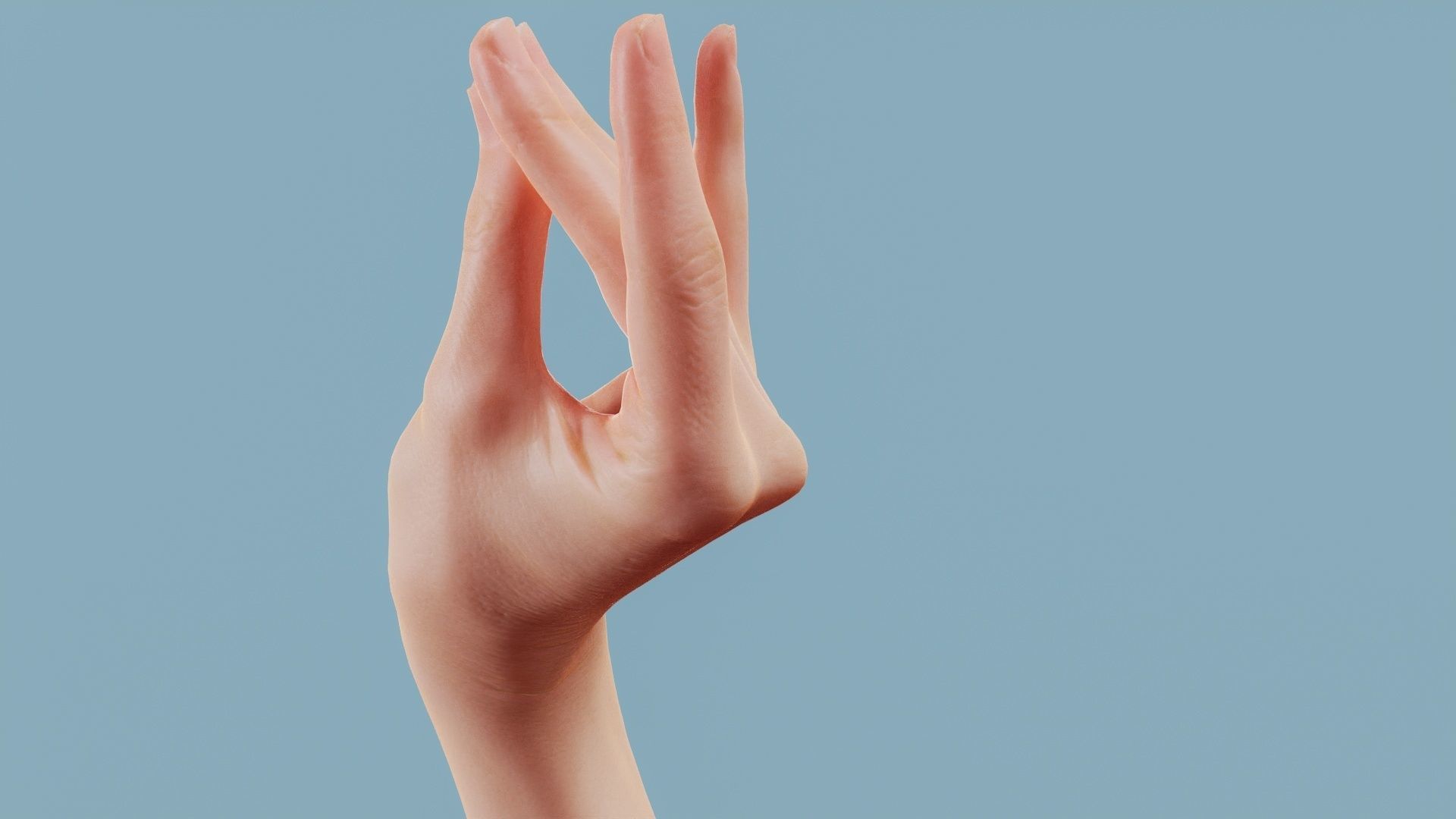 The Cow Single Hand 016 Low-poly 3D model_9