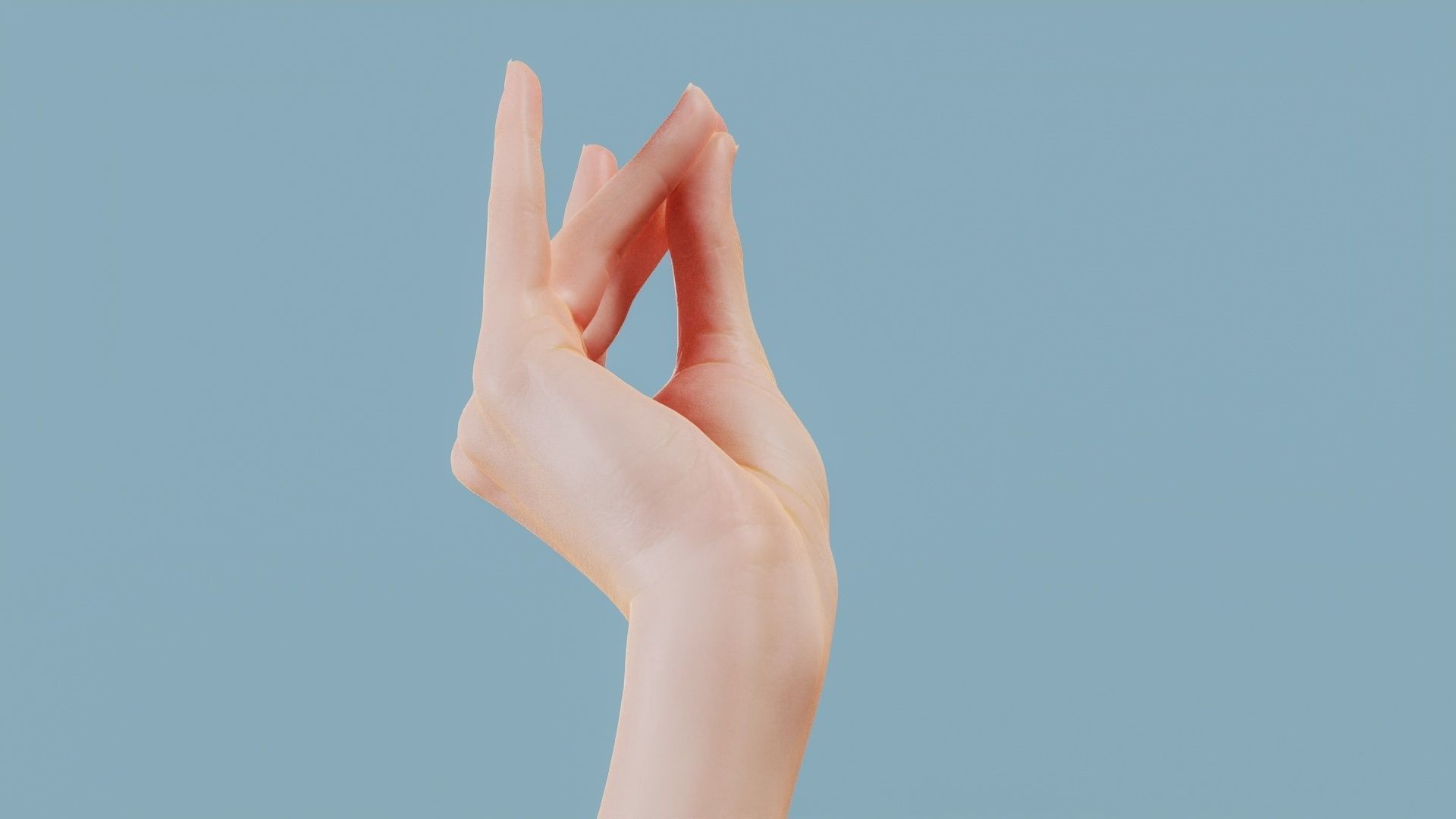 The Cow Single Hand 016 Low-poly 3D model_3