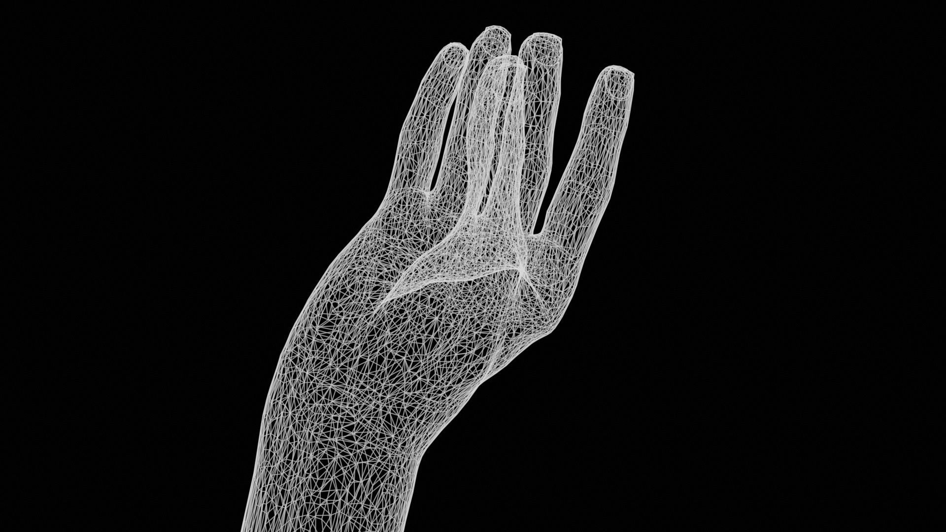 The Cow Single Hand 016 Low-poly 3D model_12