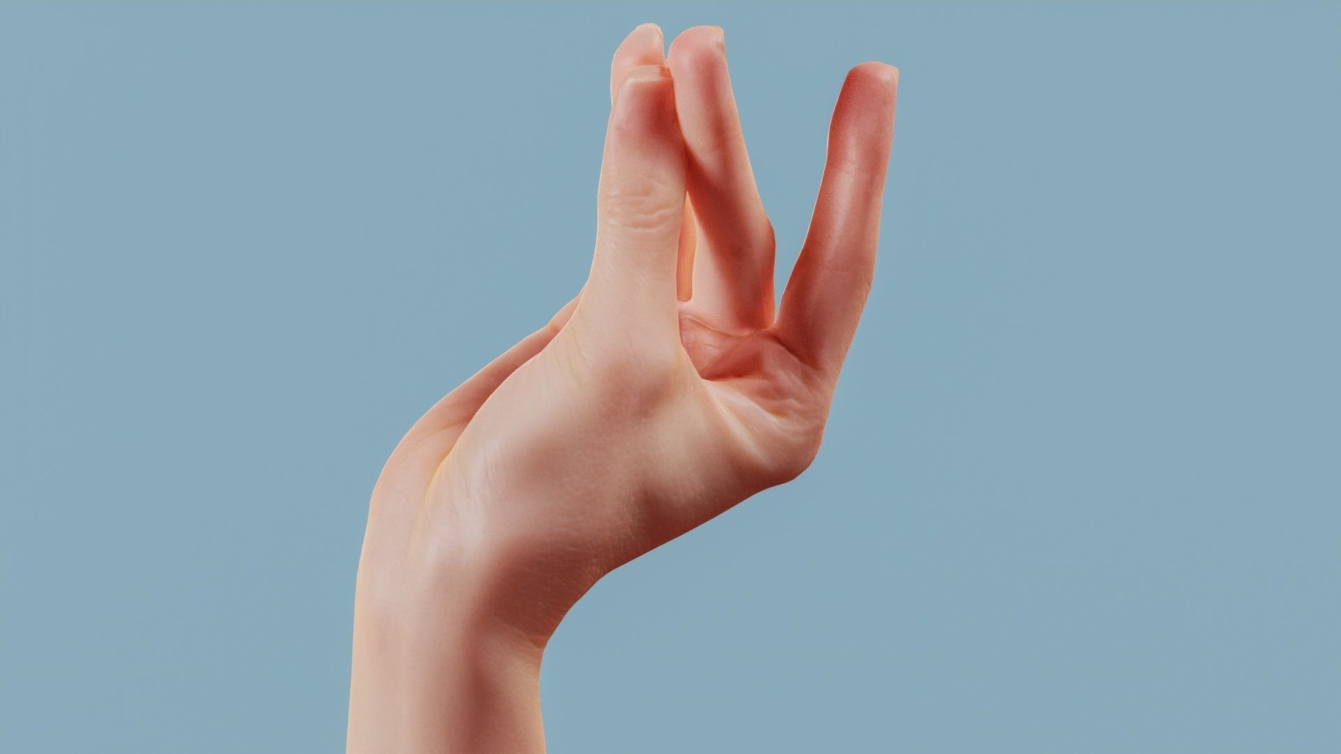 The Cow Single Hand 016 Low-poly 3D model_11