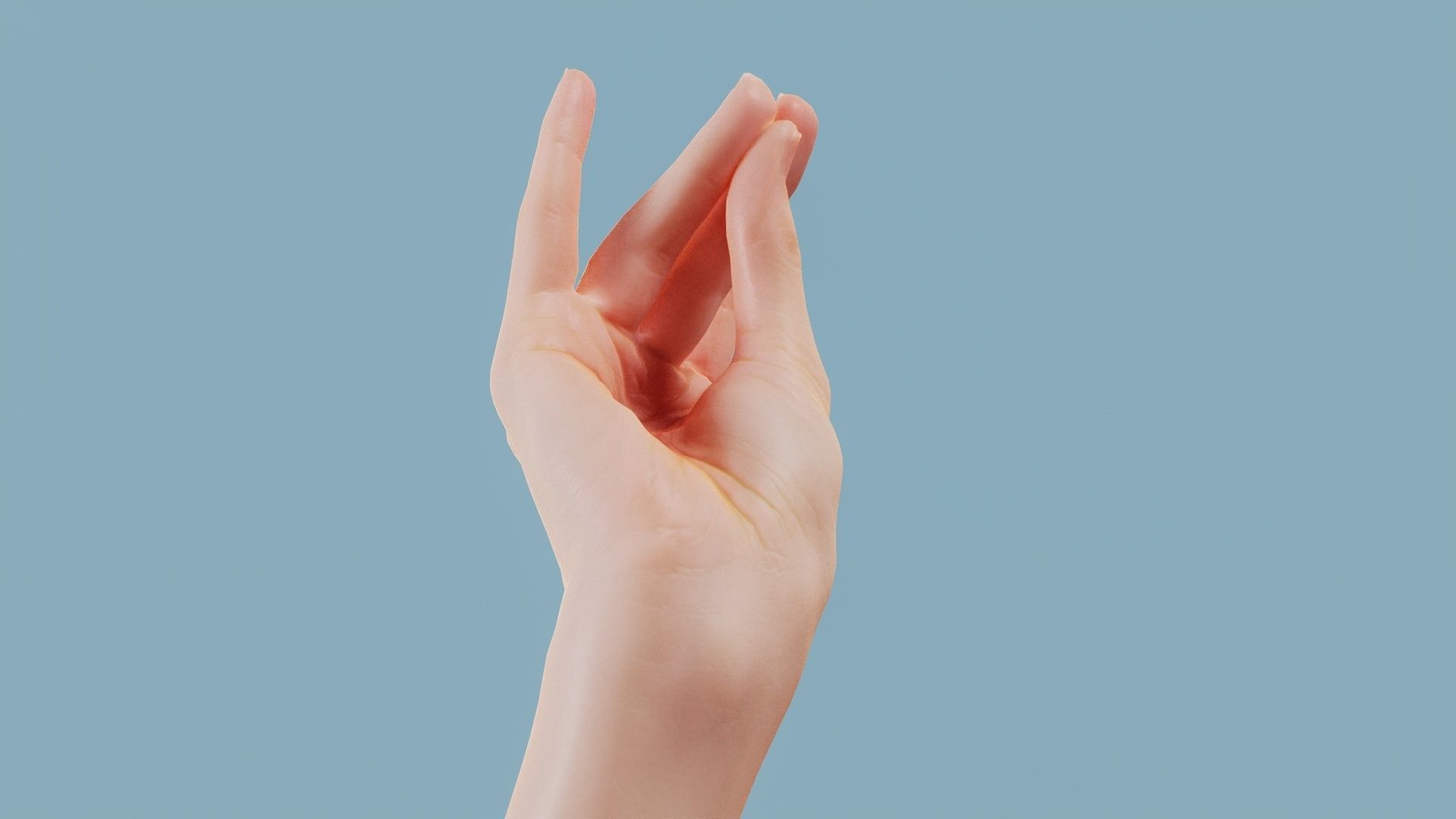 The Cow Single Hand 016 Low-poly 3D model_2