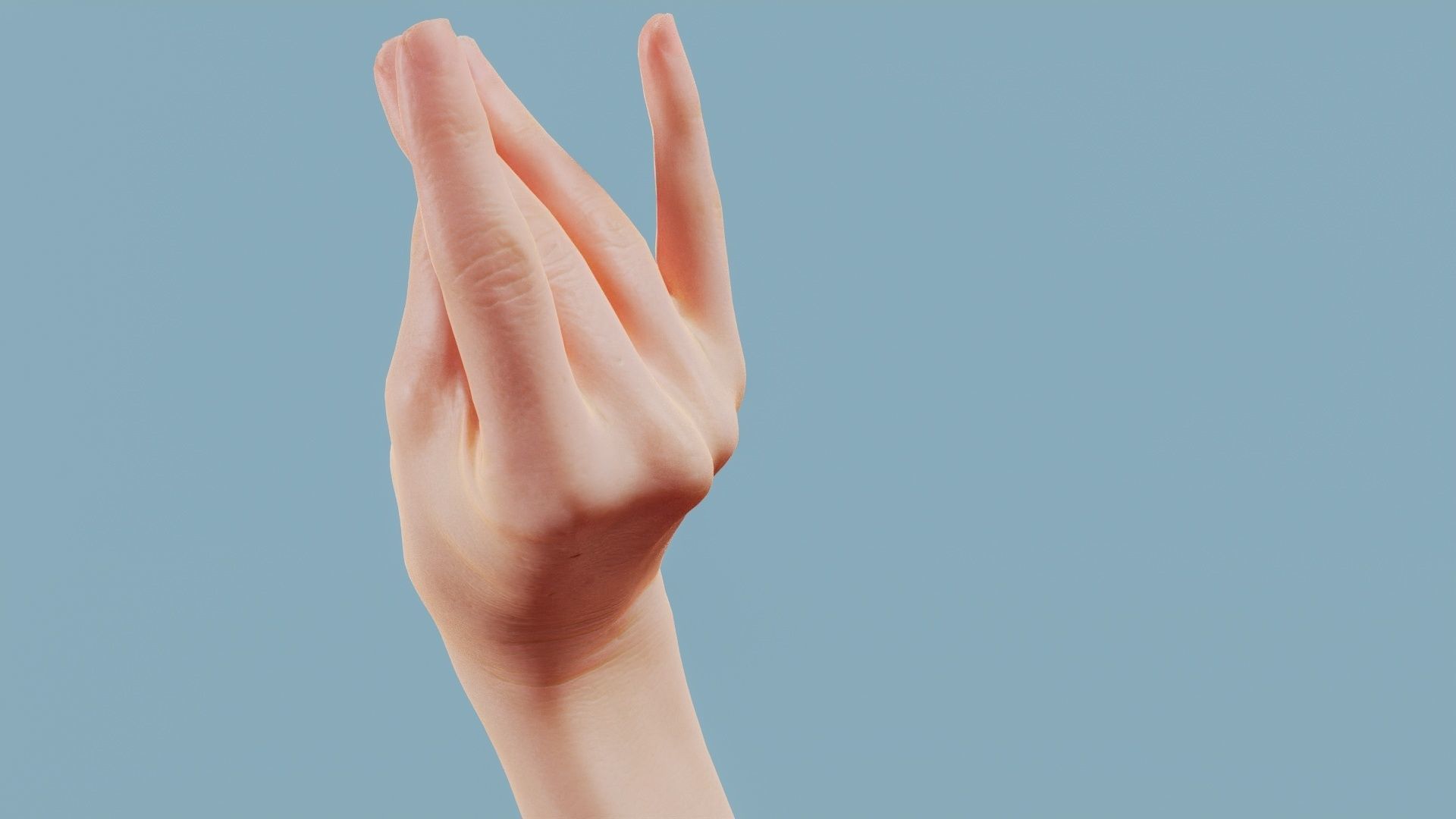 The Cow Single Hand 016 Low-poly 3D model_8