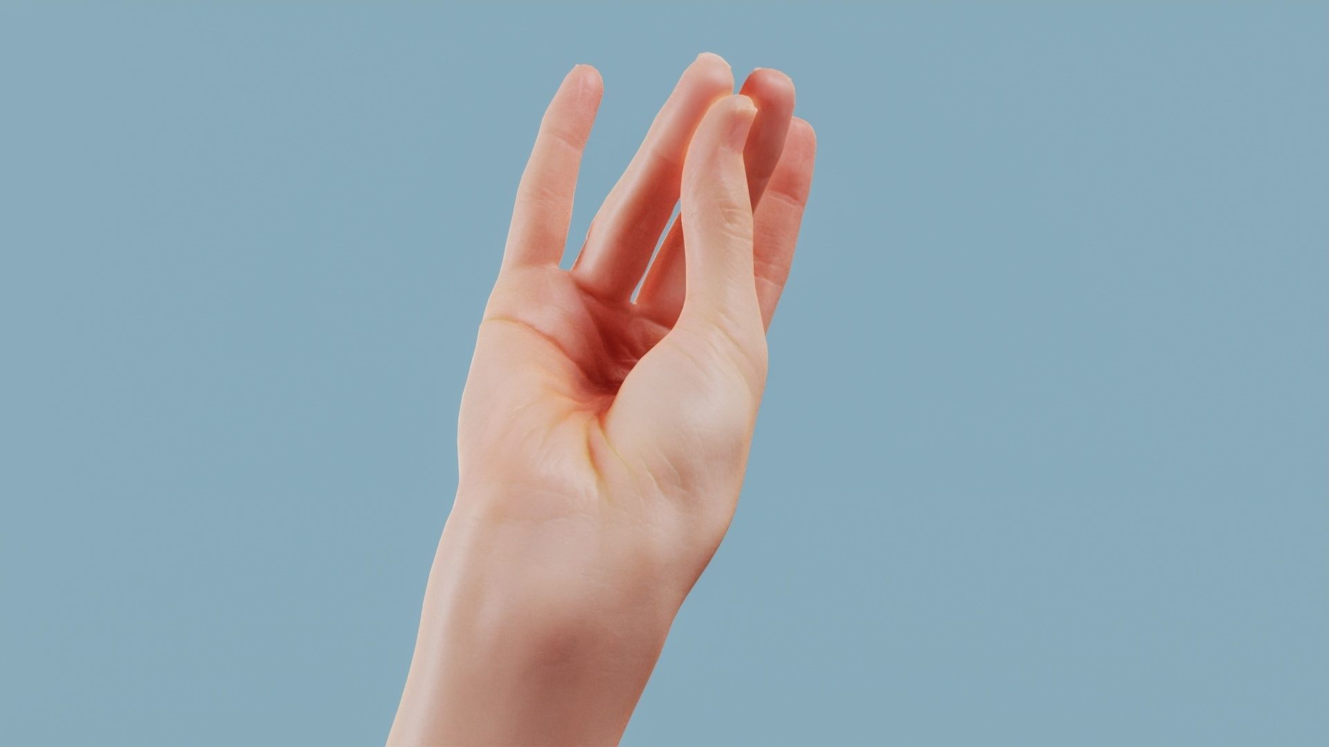 The Cow Single Hand 016 Low-poly 3D model_1