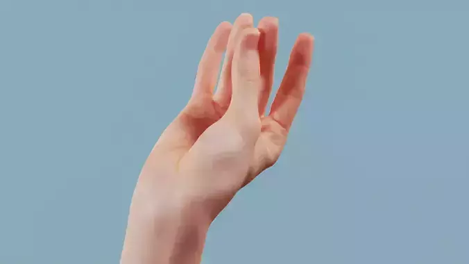 The Cow Single Hand 016 Low-poly 3D model