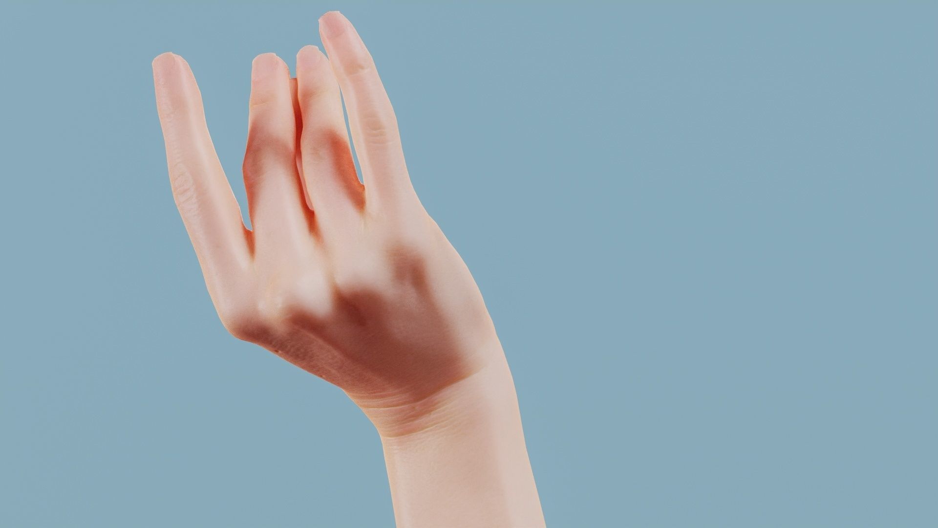 The Cow Single Hand 016 Low-poly 3D model_6