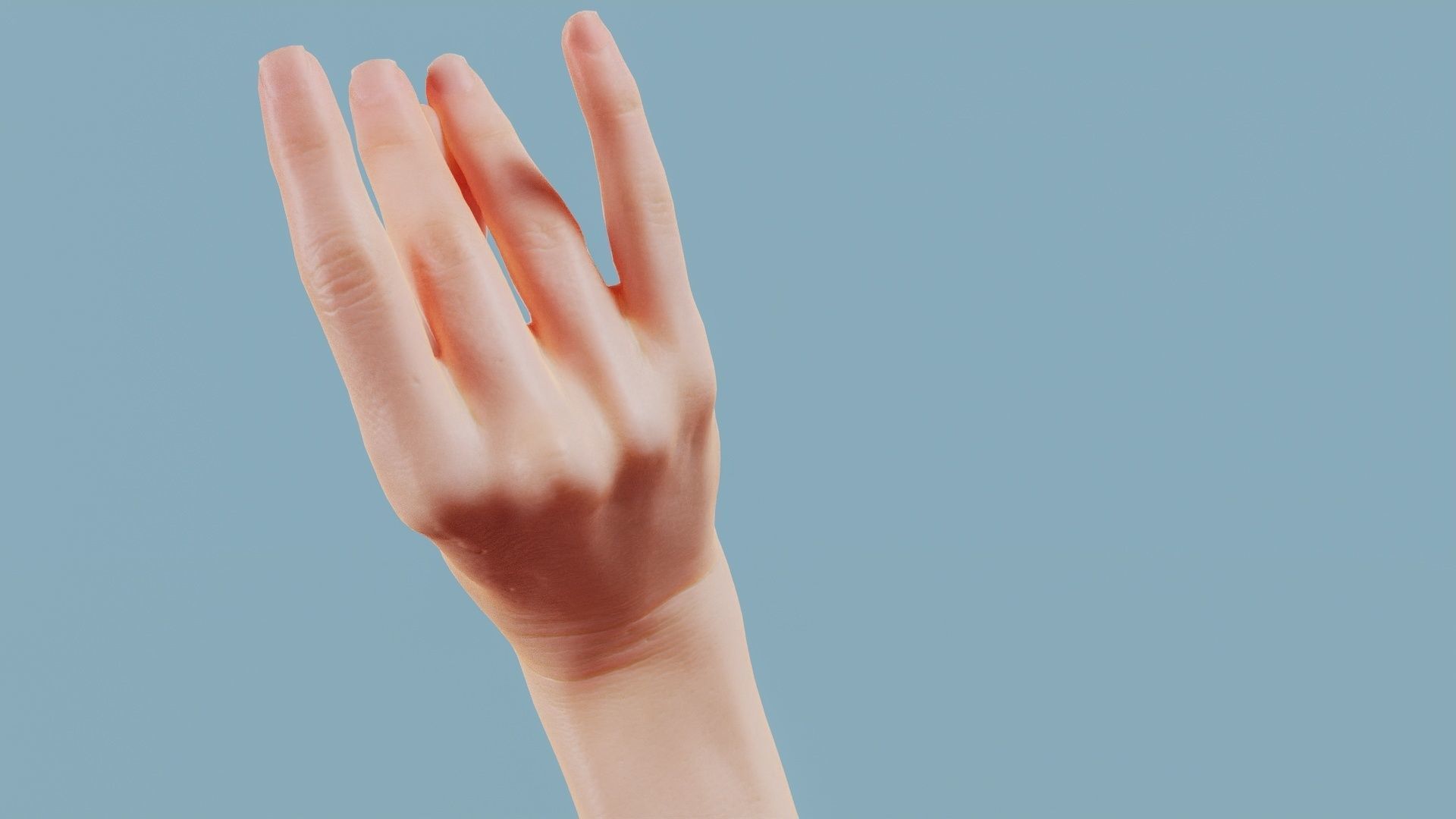 The Cow Single Hand 016 Low-poly 3D model_7