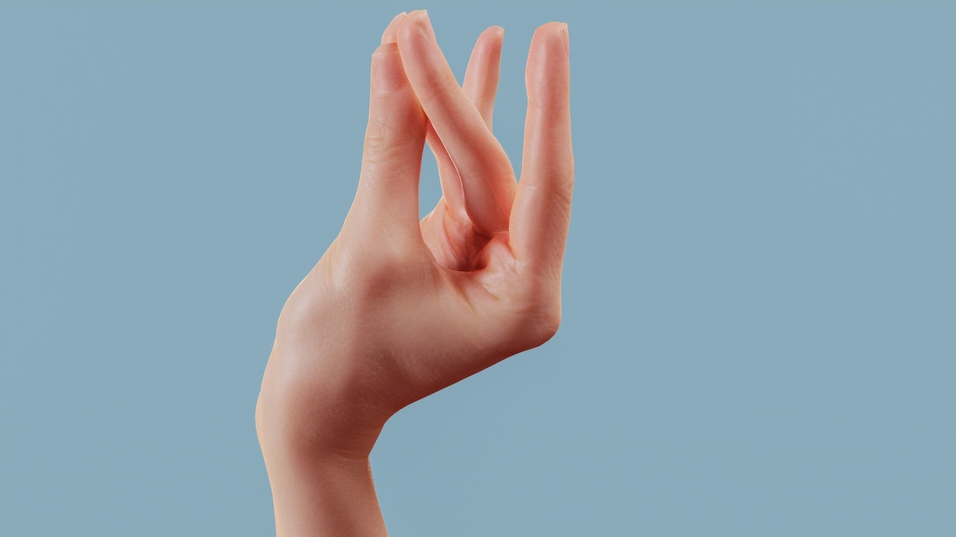 The Cow Single Hand 016 Low-poly 3D model_10