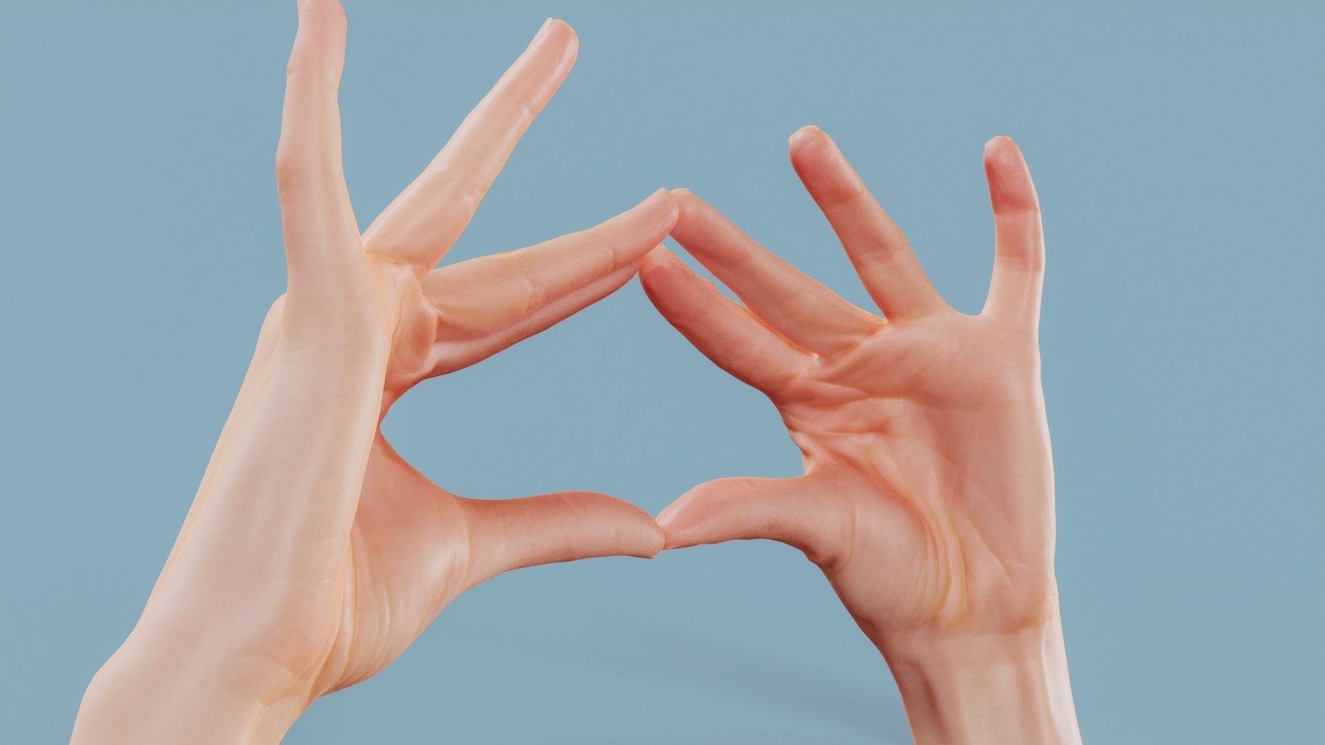 Talk The Talk Duo Hands 012 Low-poly 3D model_1