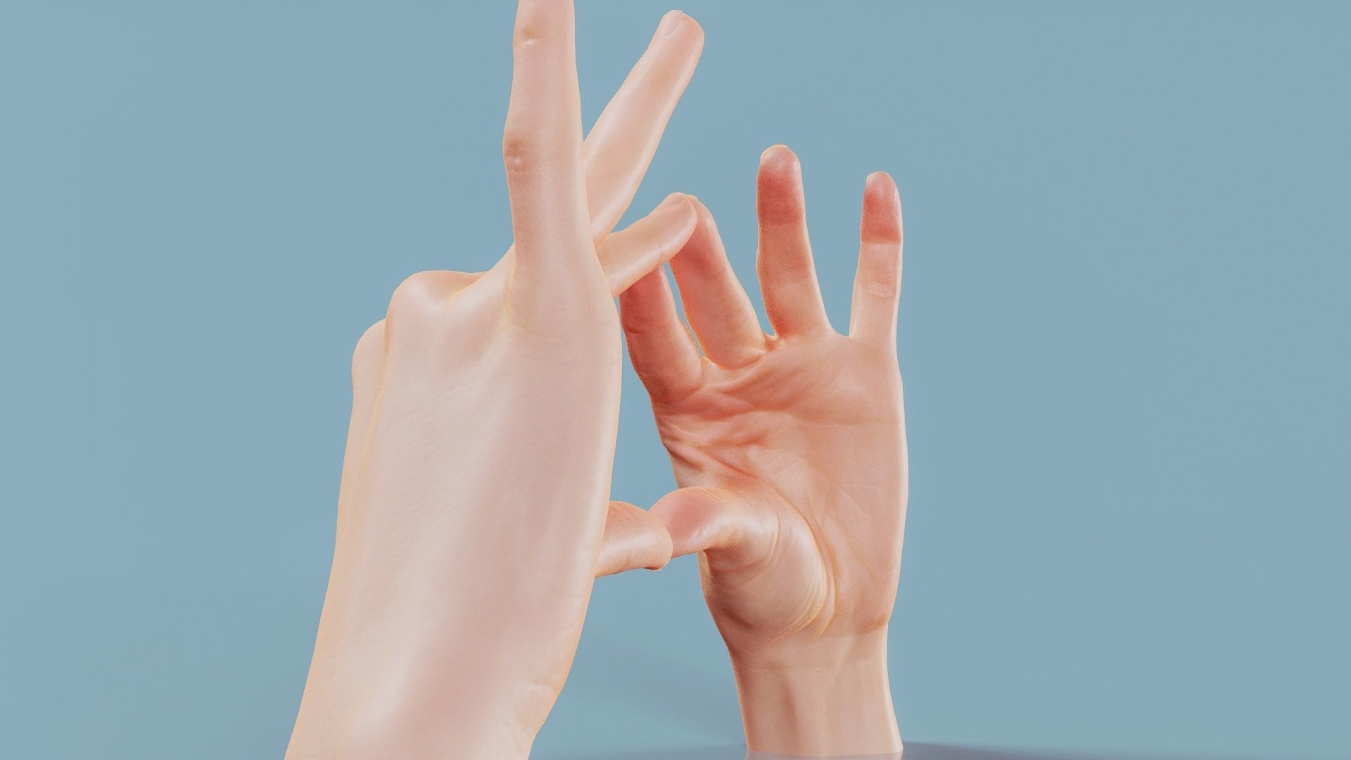 Talk The Talk Duo Hands 012 Low-poly 3D model_2