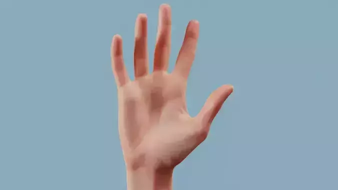 Standard Pose Single Hand 002 Low-poly 3D model