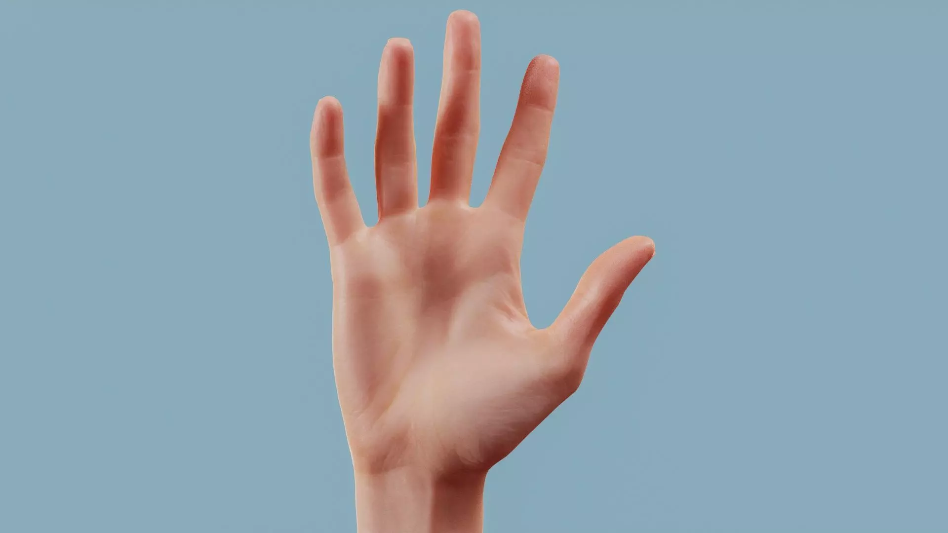Standard Pose Single Hand 002 Low-poly 3D model_0