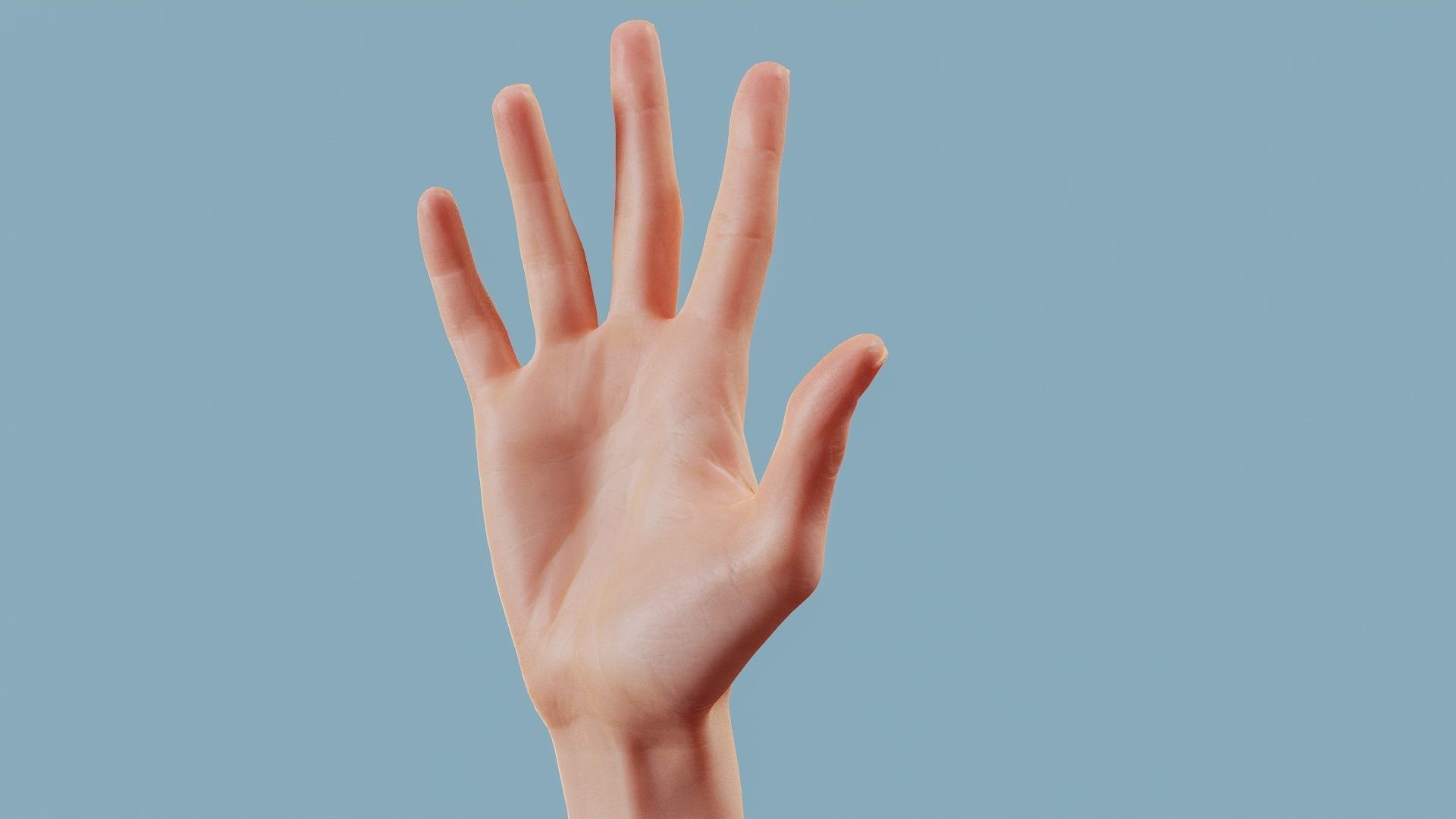 Standard Pose Single Hand 002 Low-poly 3D model_11