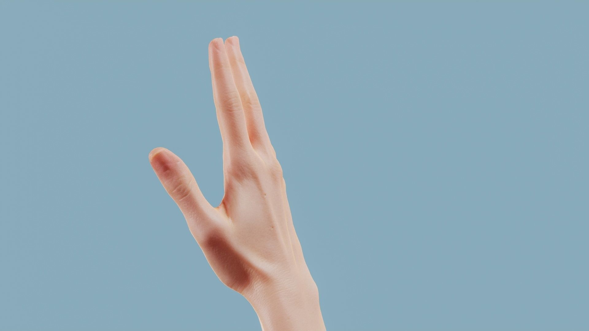 Standard Pose Single Hand 002 Low-poly 3D model_8
