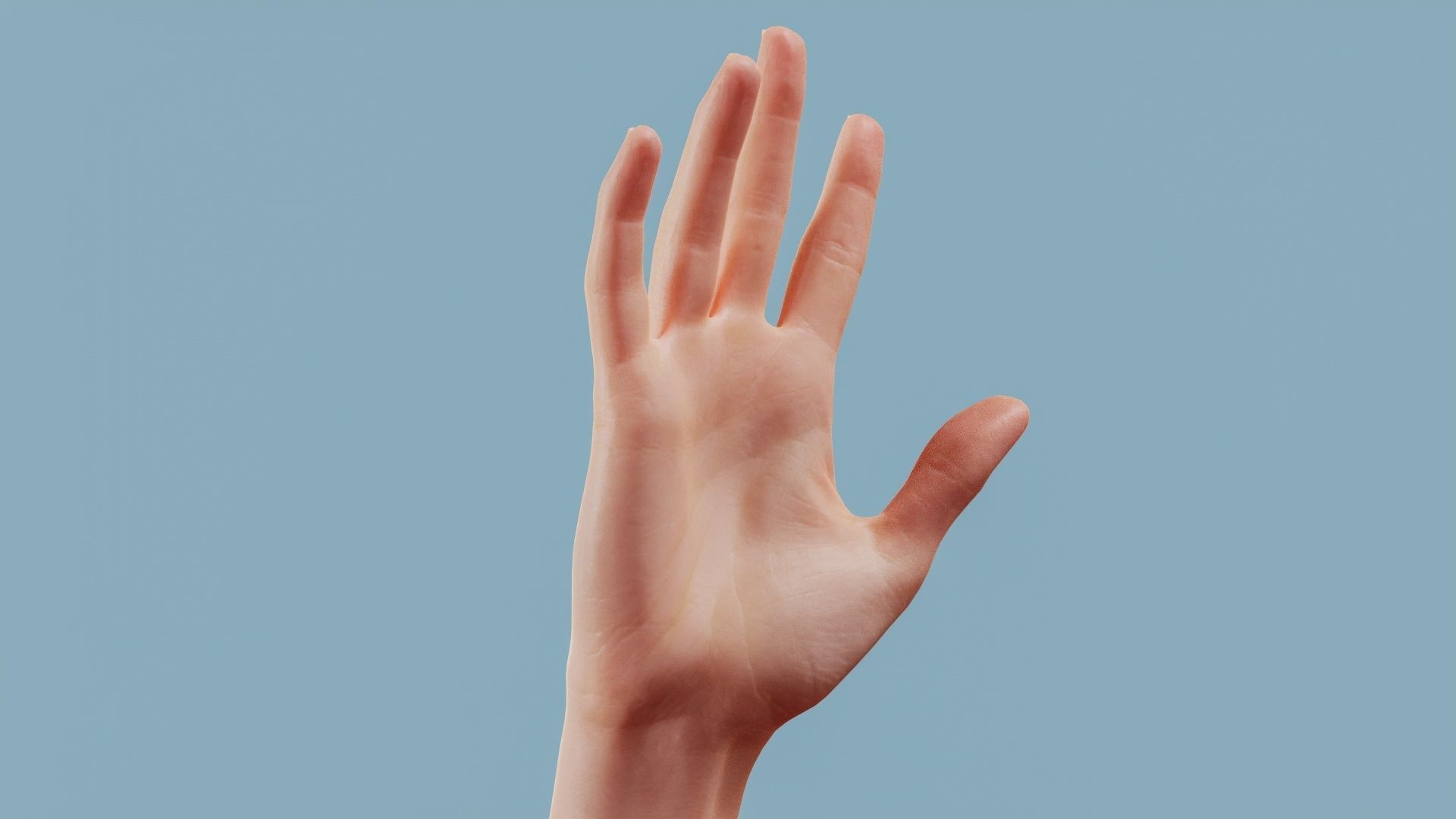 Standard Pose Single Hand 002 Low-poly 3D model_1