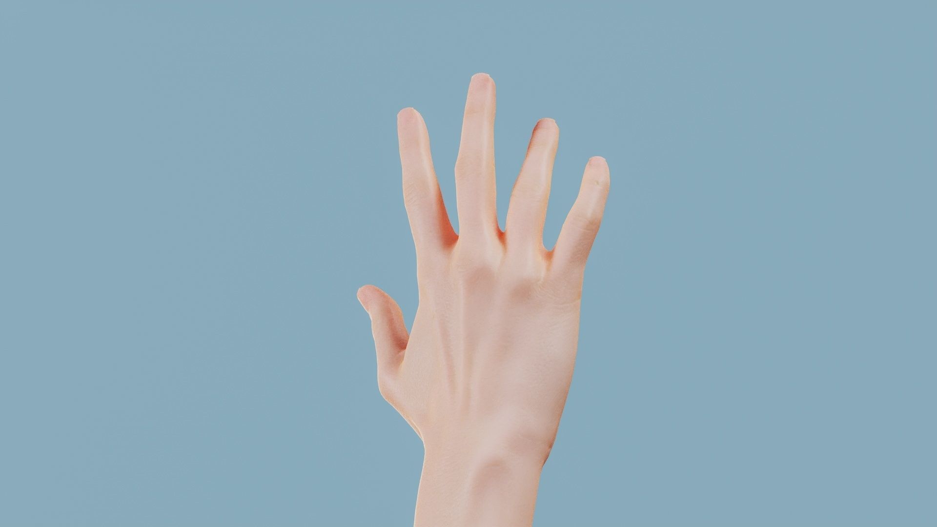 Standard Pose Single Hand 002 Low-poly 3D model_5