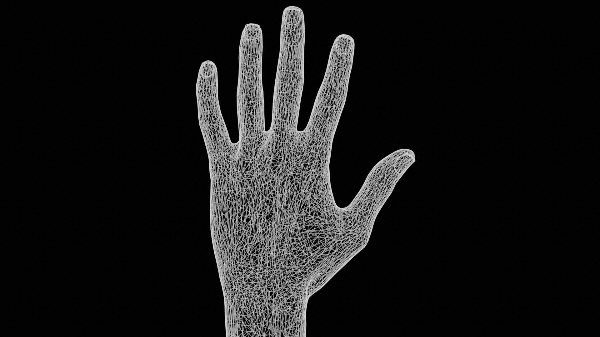 Standard Pose Single Hand 002 Low-poly 3D model_12