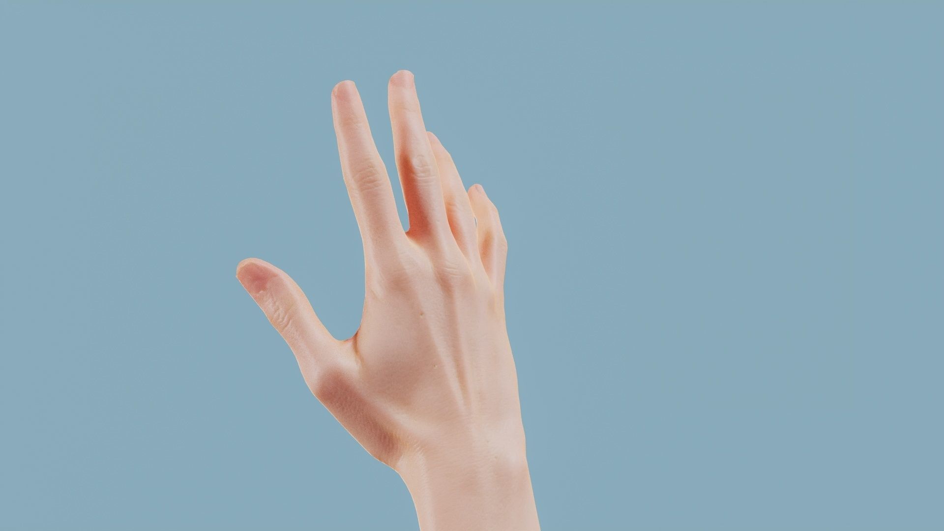 Standard Pose Single Hand 002 Low-poly 3D model_7