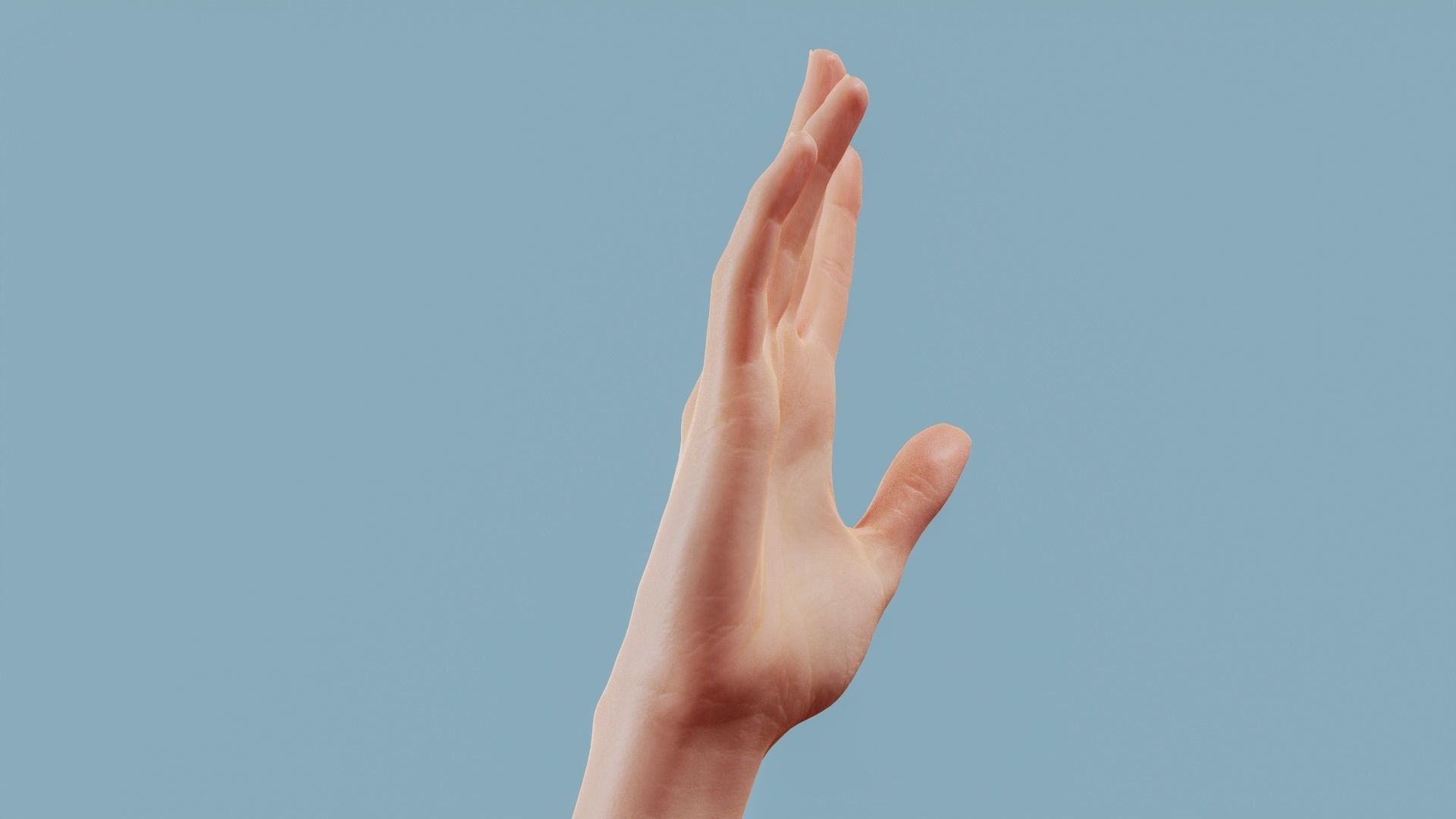 Standard Pose Single Hand 002 Low-poly 3D model_2