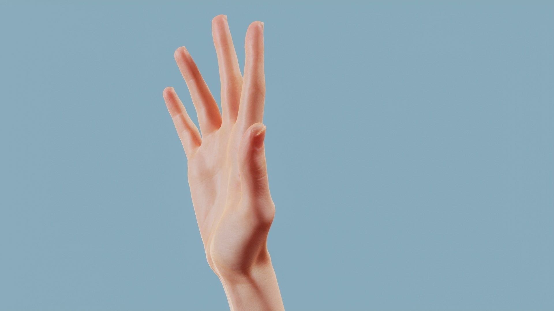 Standard Pose Single Hand 002 Low-poly 3D model_10