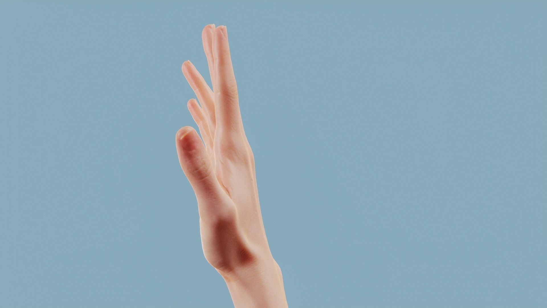 Standard Pose Single Hand 002 Low-poly 3D model_9
