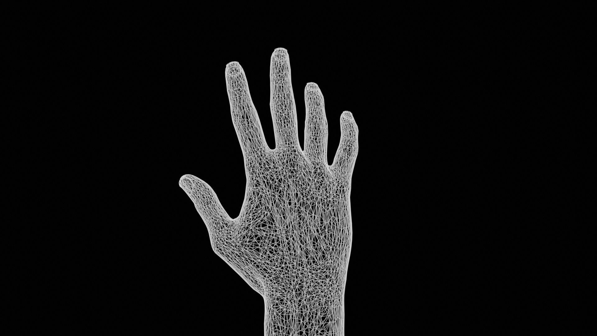 Standard Pose Single Hand 002 Low-poly 3D model_13