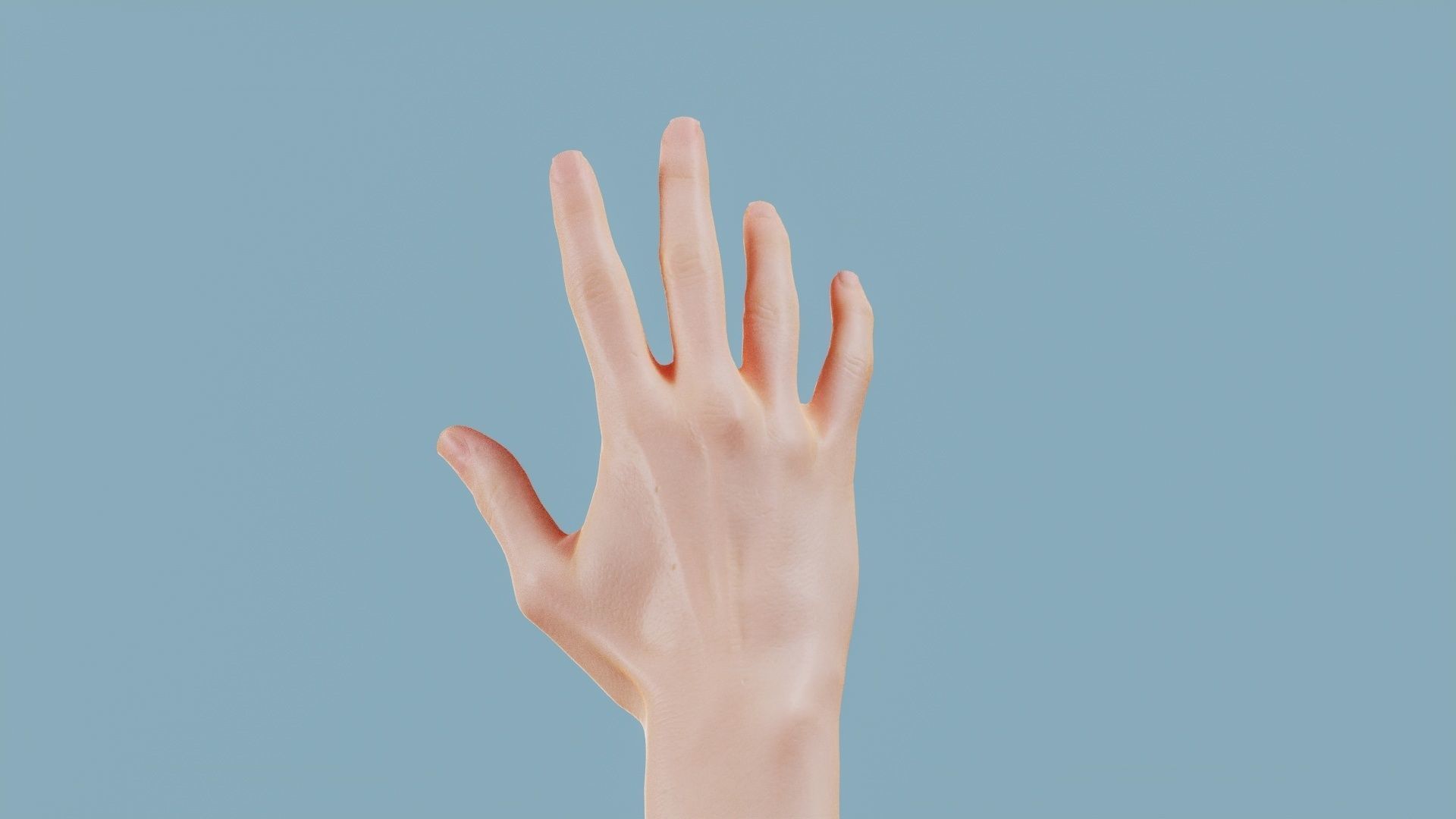 Standard Pose Single Hand 002 Low-poly 3D model_6