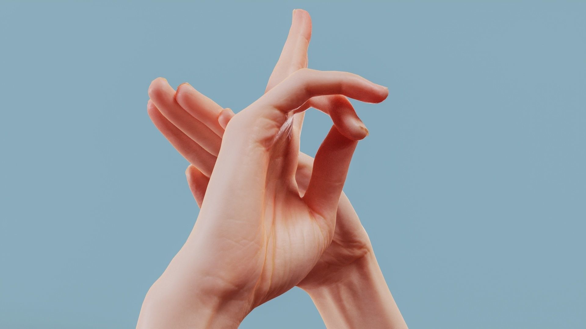 No Smoking Duo Hands 014 Low-poly 3D model_2