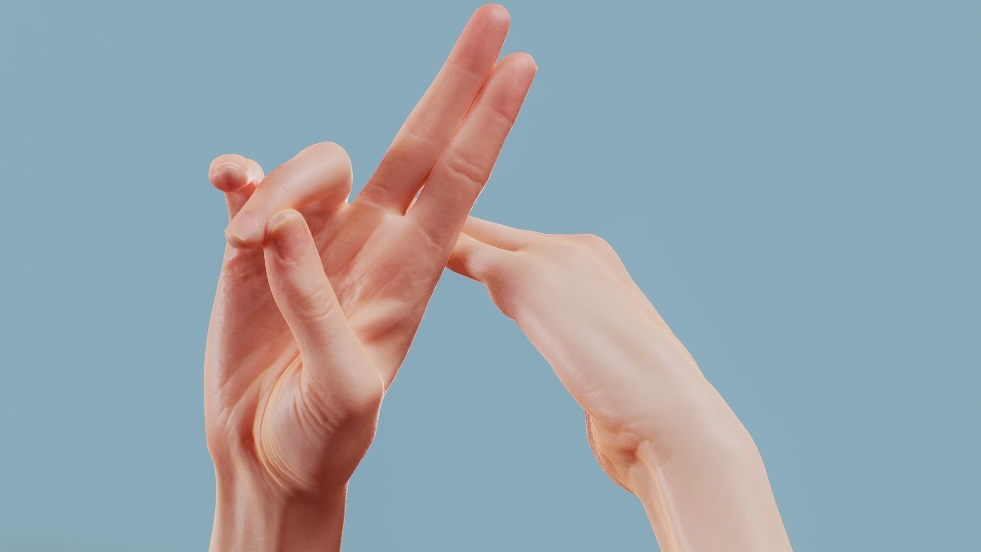 No Smoking Duo Hands 014 Low-poly 3D model_11