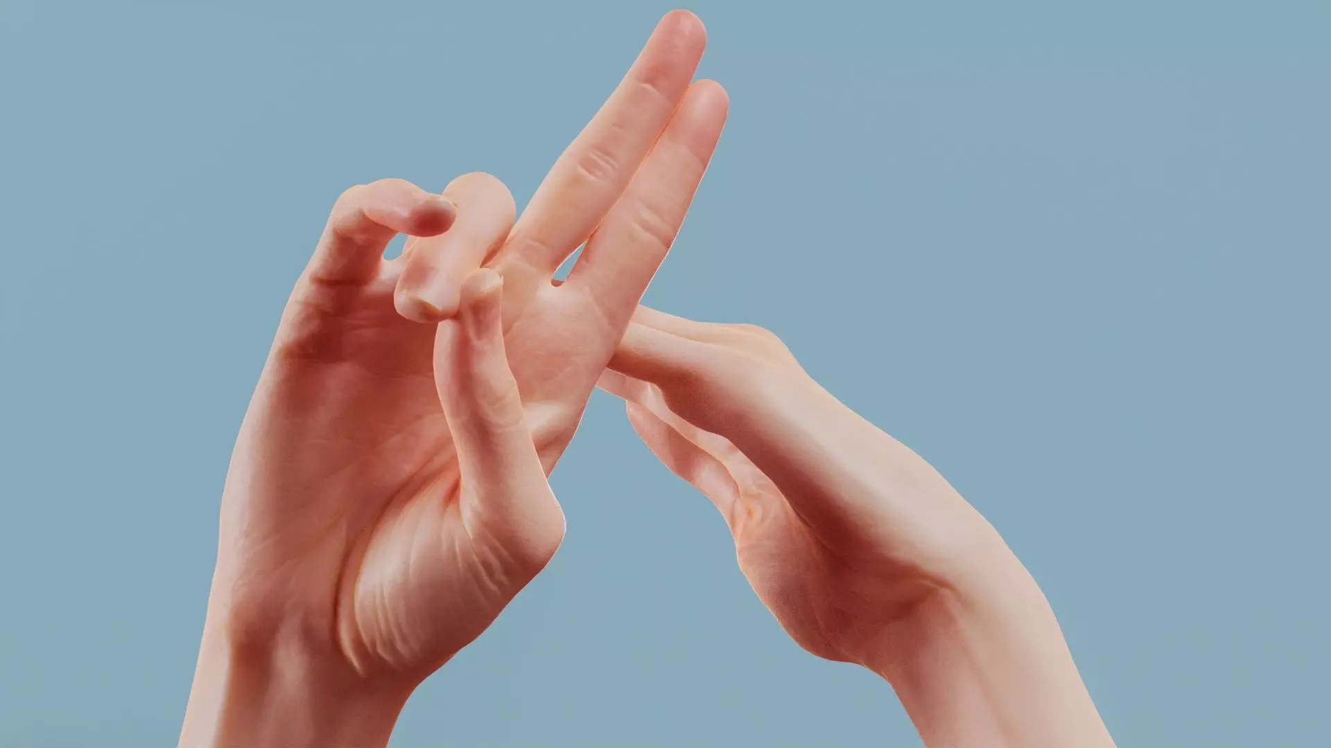 No Smoking Duo Hands 014 Low-poly 3D model_0