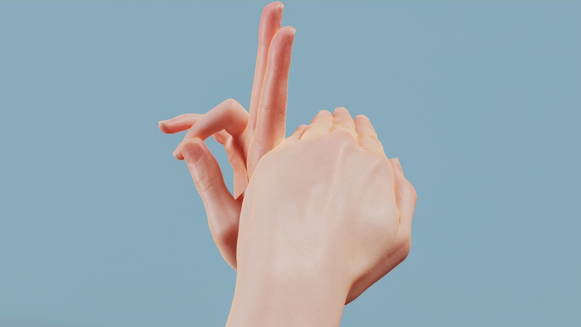 No Smoking Duo Hands 014 Low-poly 3D model_9