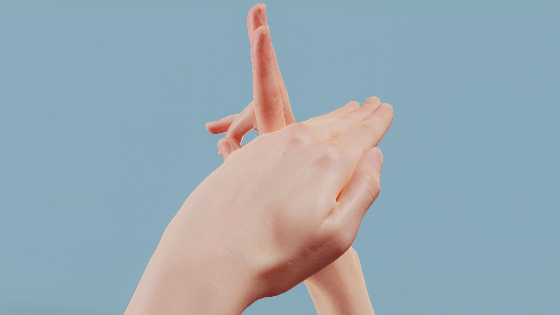 No Smoking Duo Hands 014 Low-poly 3D model_8