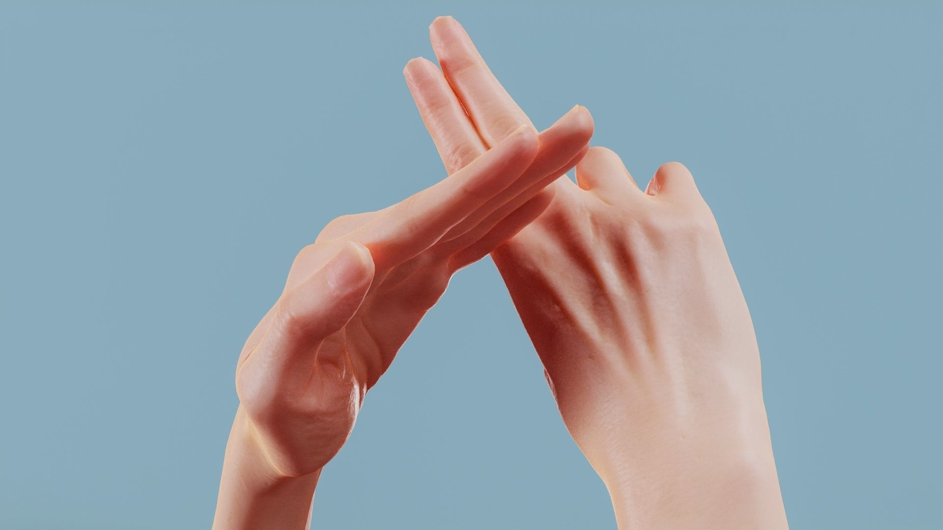 No Smoking Duo Hands 014 Low-poly 3D model_5