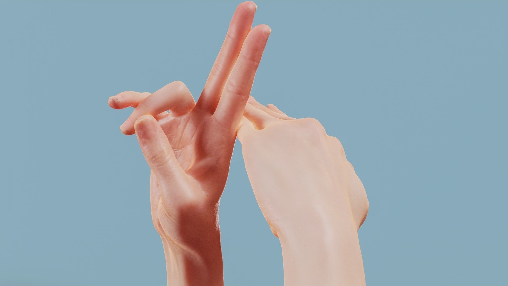 No Smoking Duo Hands 014 Low-poly 3D model_10