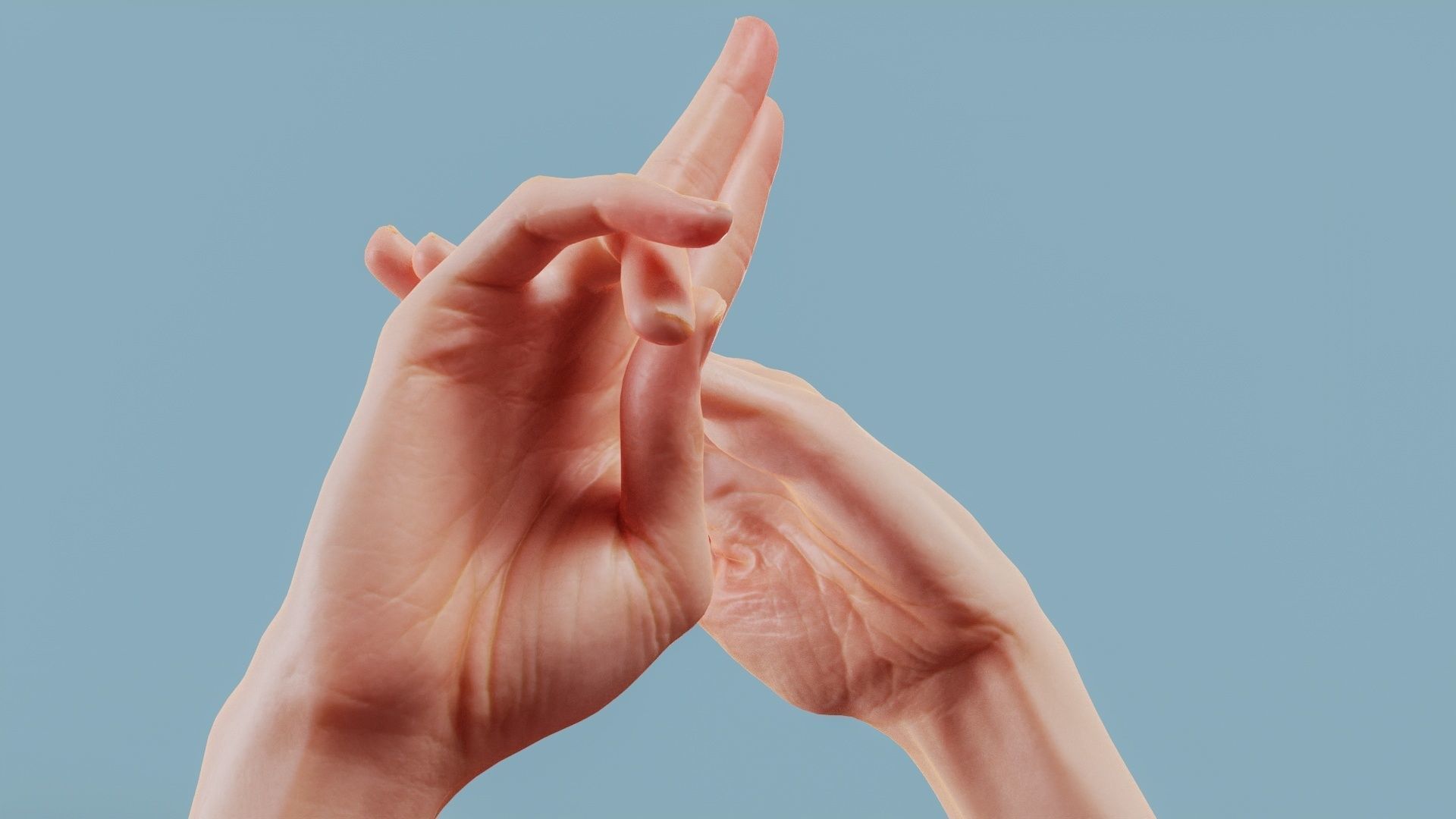 No Smoking Duo Hands 014 Low-poly 3D model_1